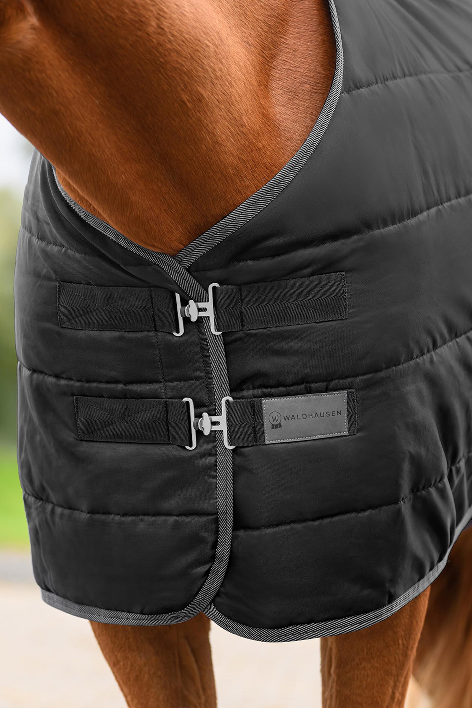 Waldhausen ECONOMIC stalldekken, 100g