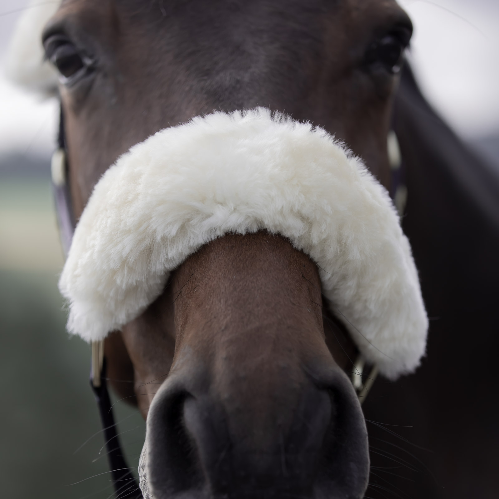 B Vertigo Laurier grime med saueskinn