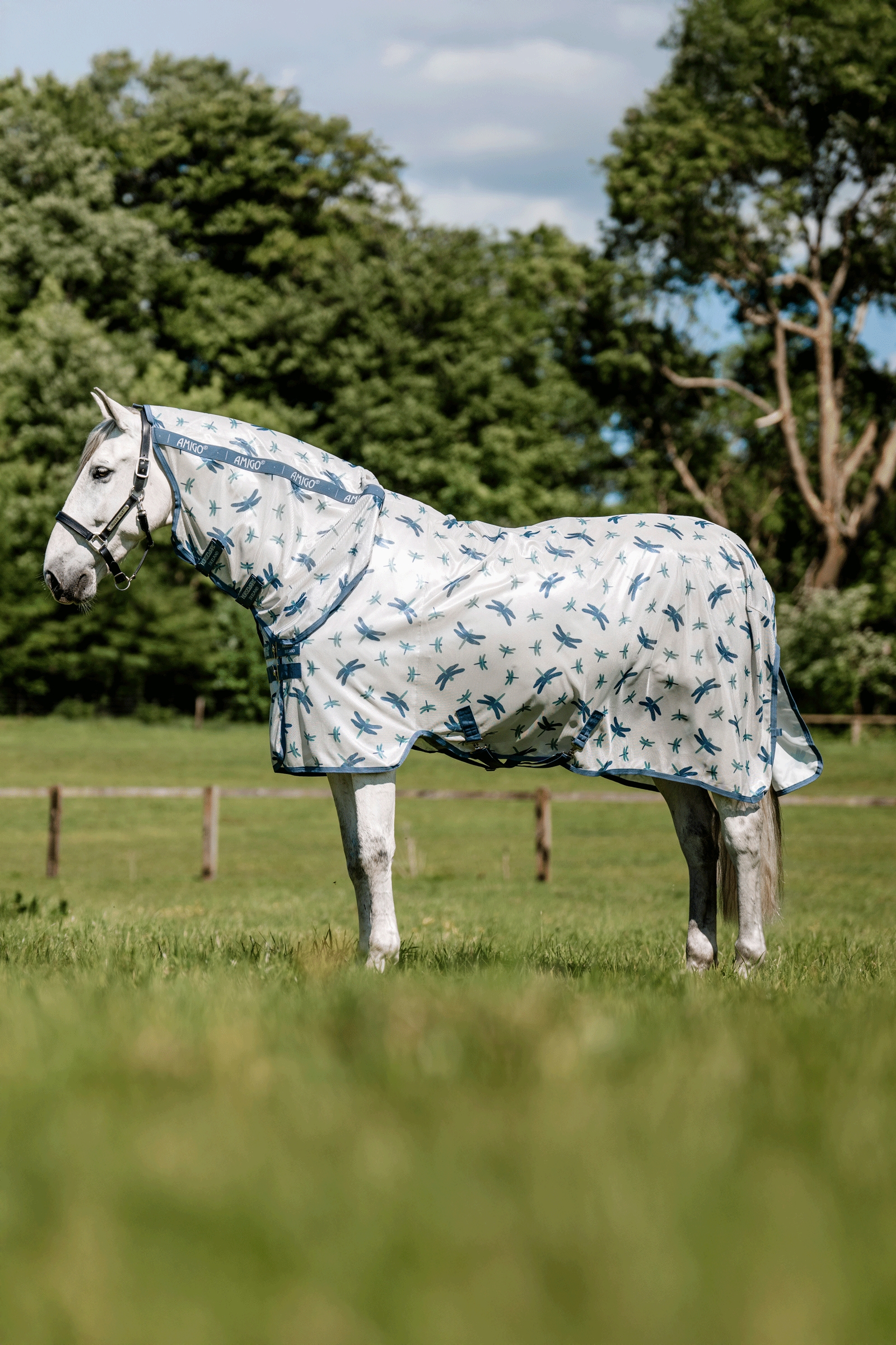 Dragonfly Print/Silver, Blue & Sage Horseware Amigo Integrert Fluedekken