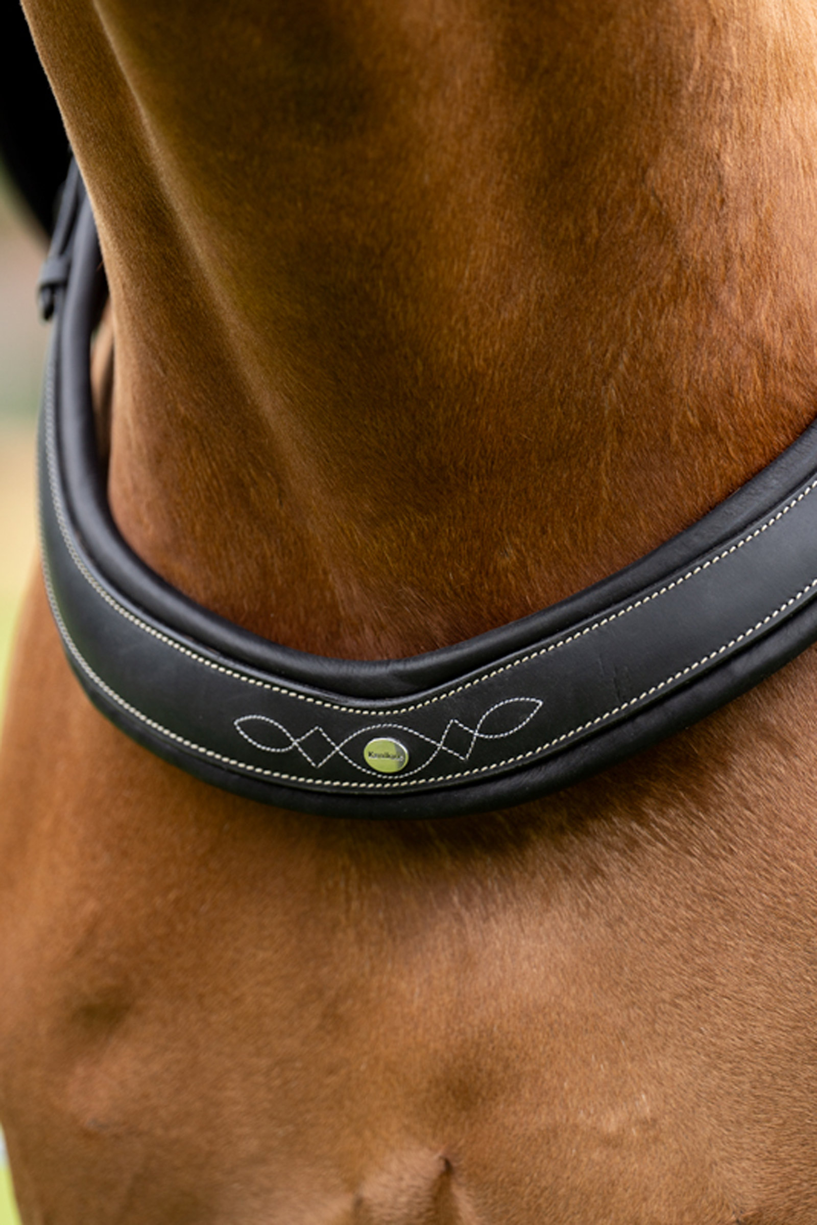 Kavalkade Jerome 2-punkts Brystplate