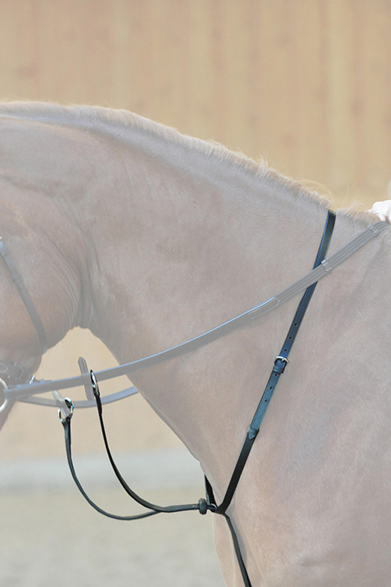 Kavalkade Ecoline martingal med stoppere