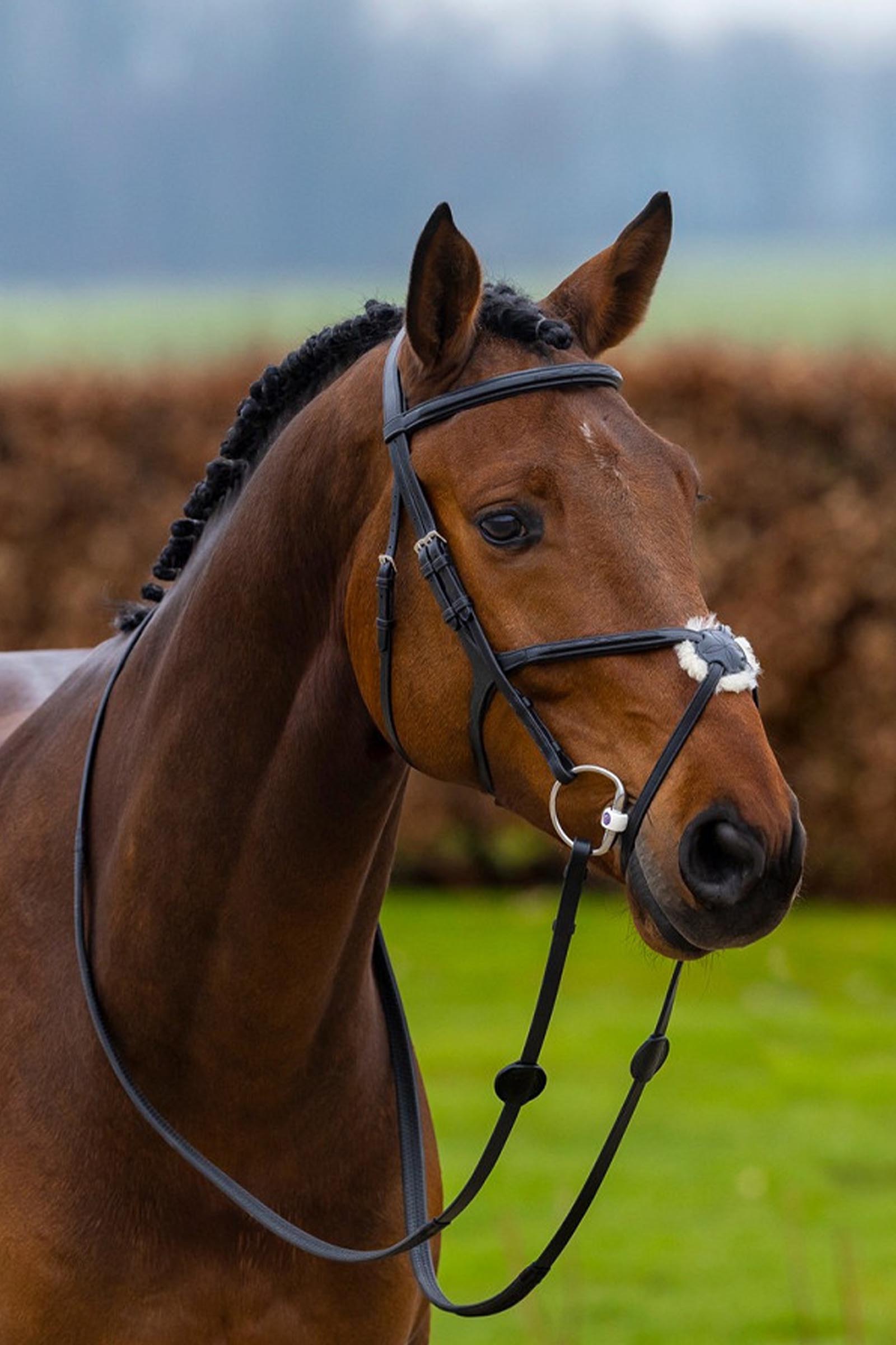 Trust Equestrian Oslo Meksikansk nesereim hodelag