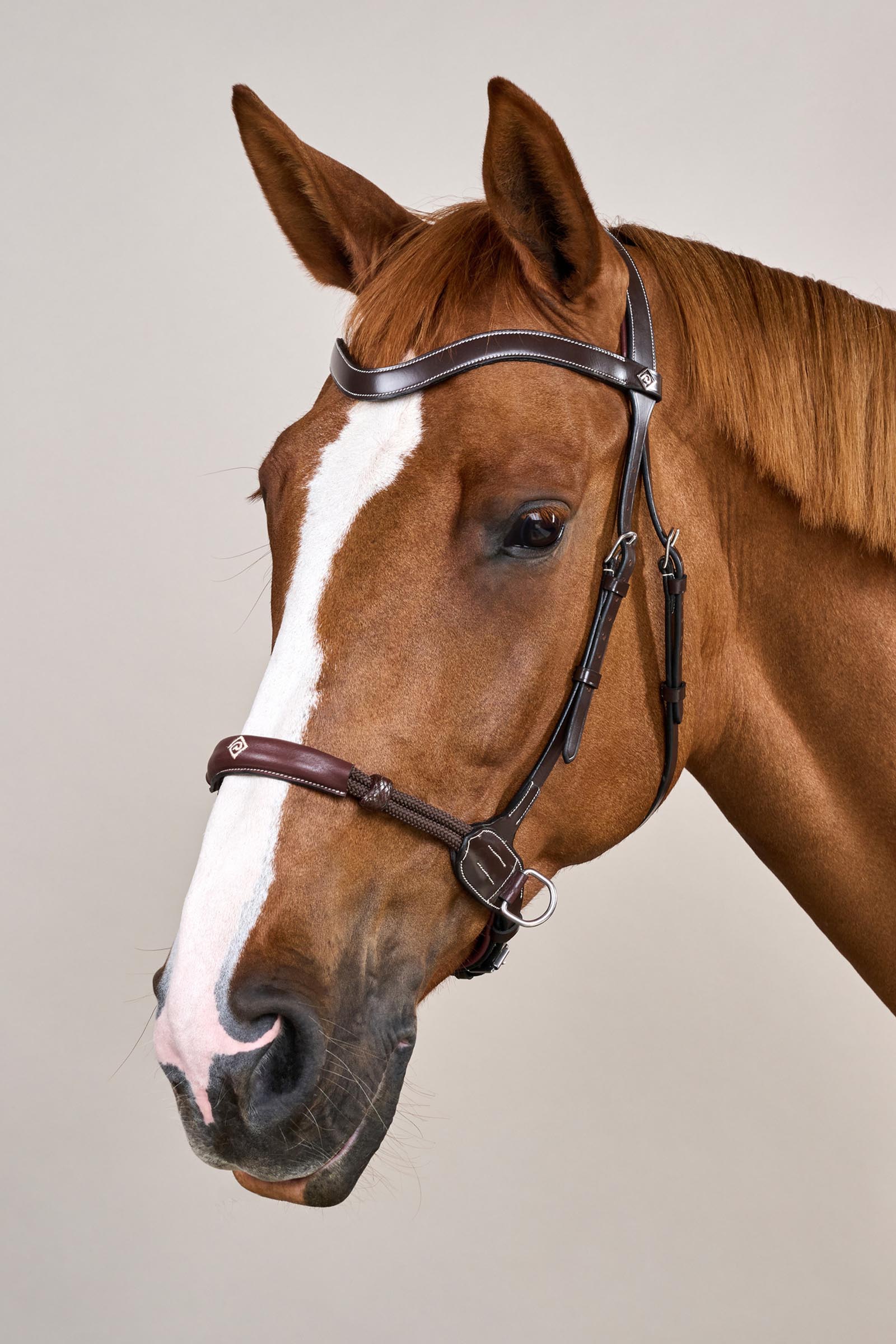 Dy'on Working bittl&oslash;st hodelag  