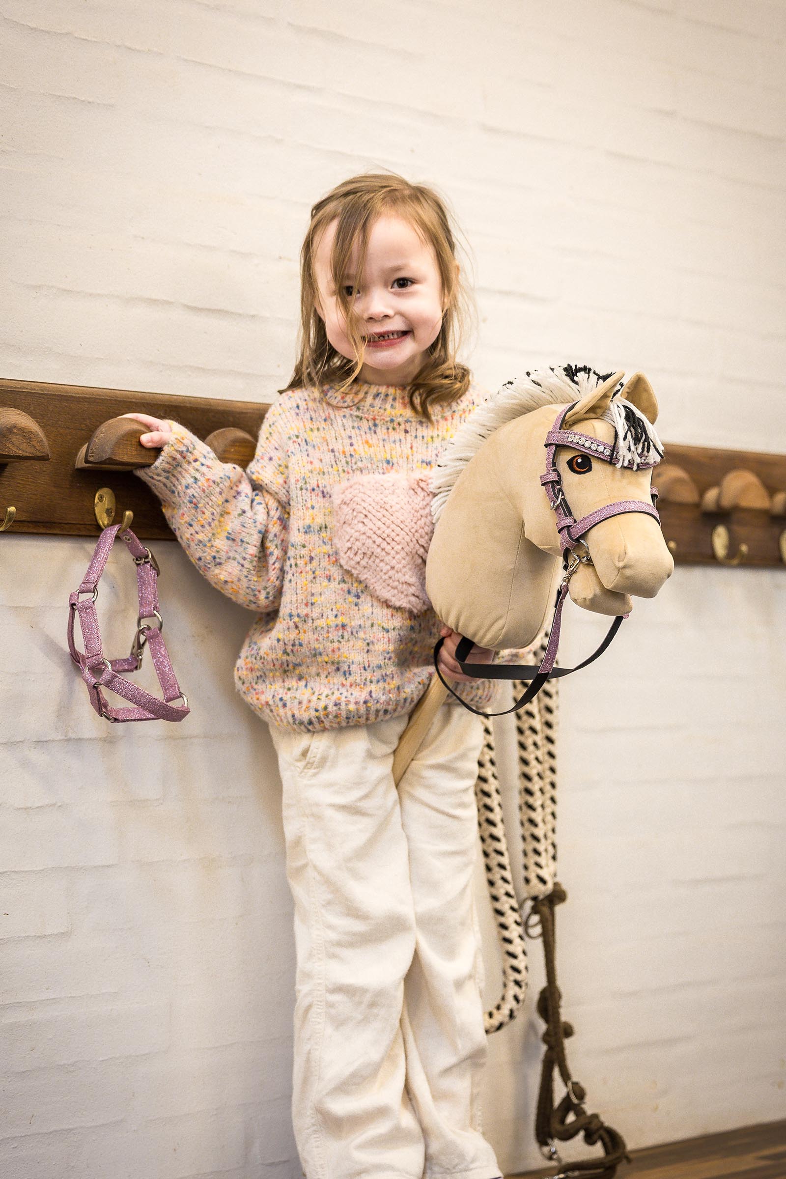 My Hobby Horse Fjord