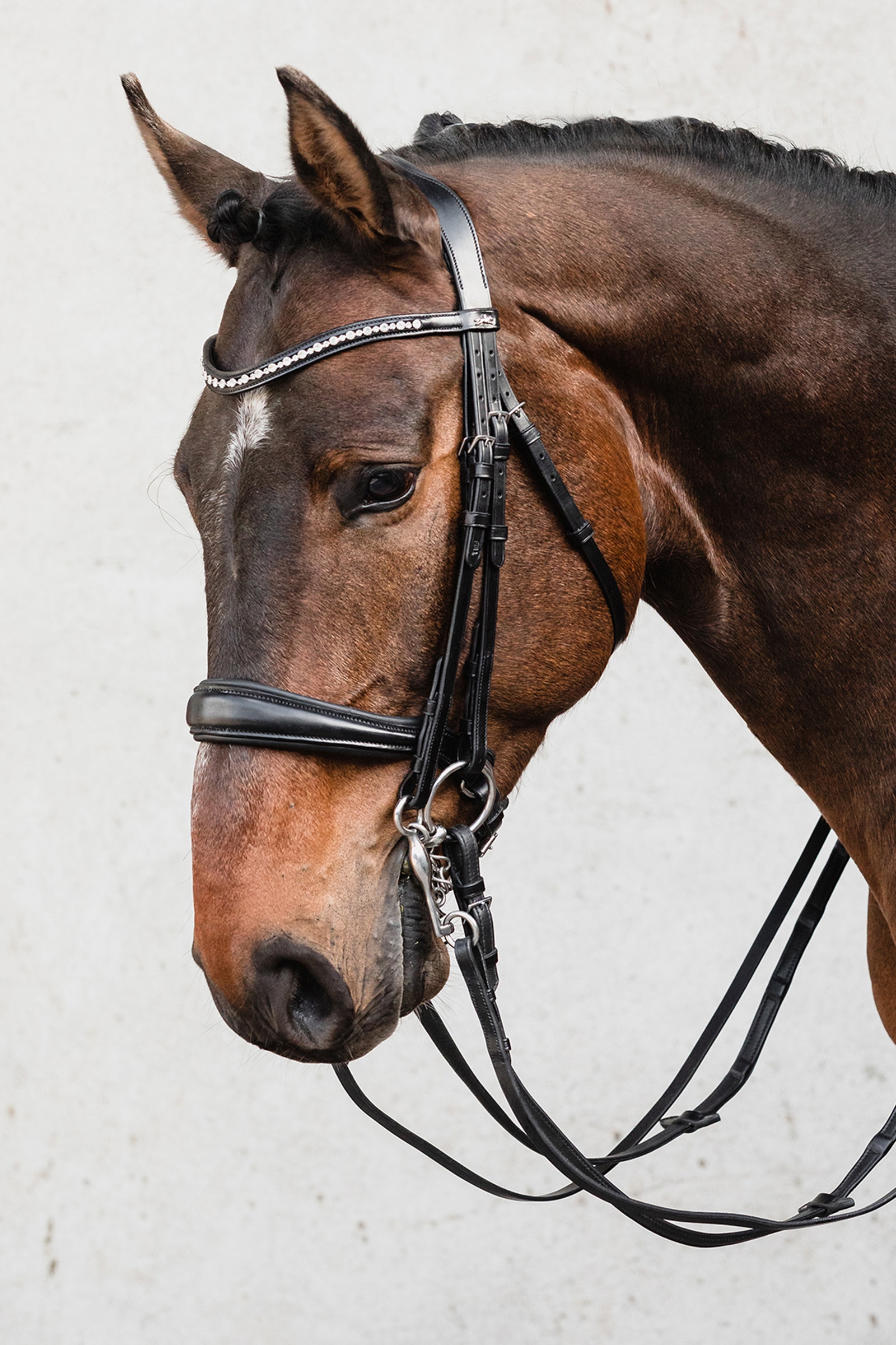 Schockemöhle Sports Milton Anatomic  Double Bridle