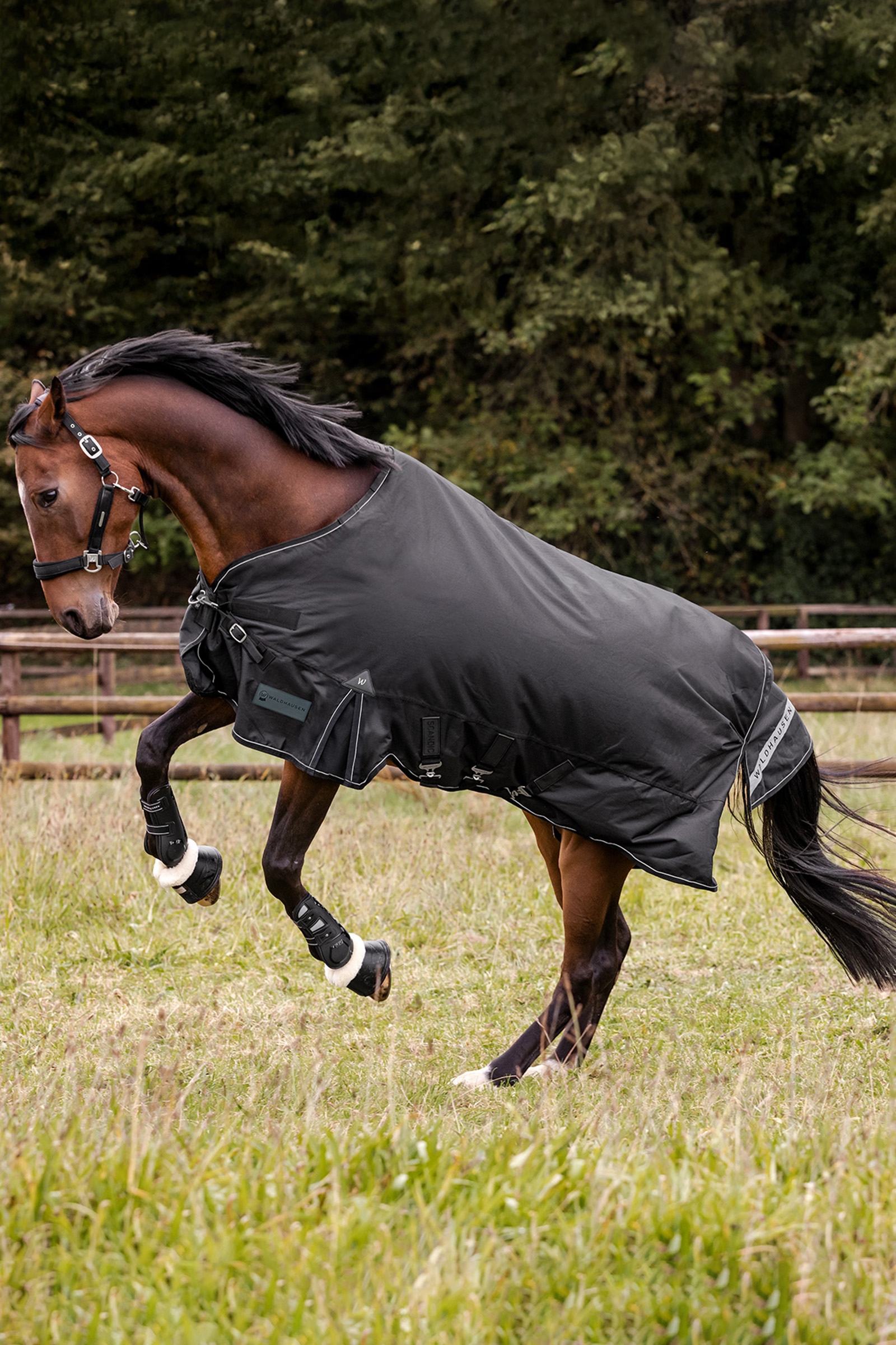 Waldhausen utend&oslash;rs teppe Scandic Light