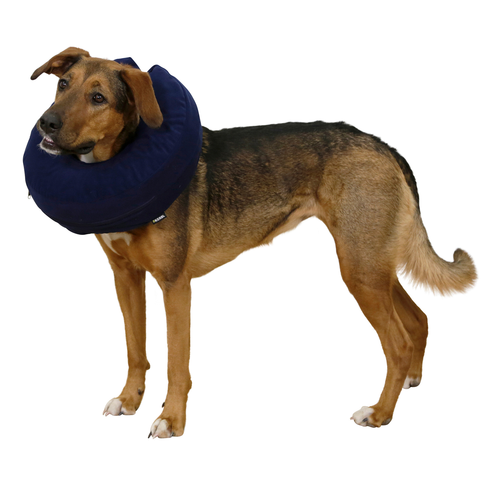 Kerbl oppblåsbar hundekrage, 18-30 cm