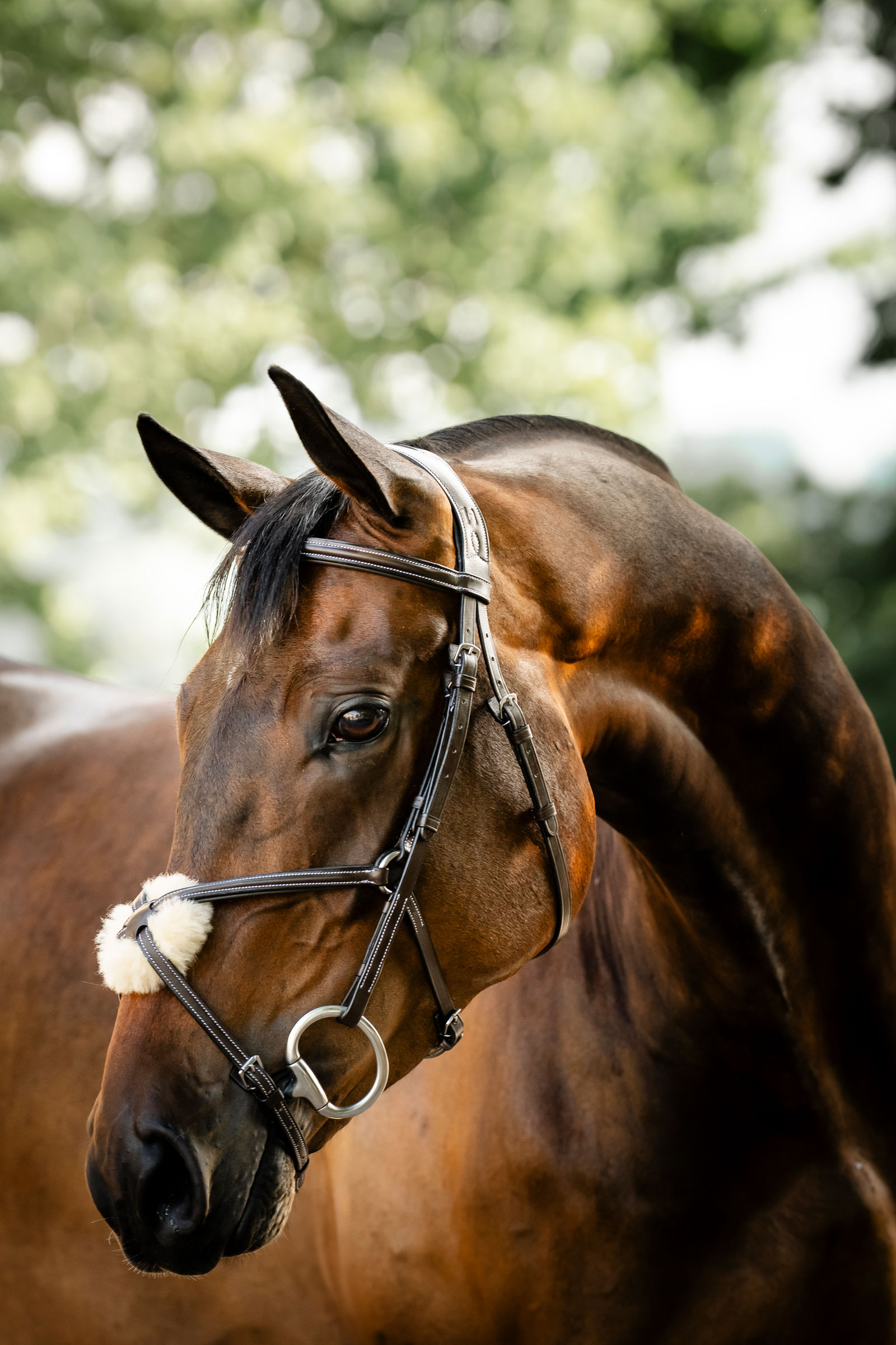 Horseware trinse med &aring;ttetallsnesereim
