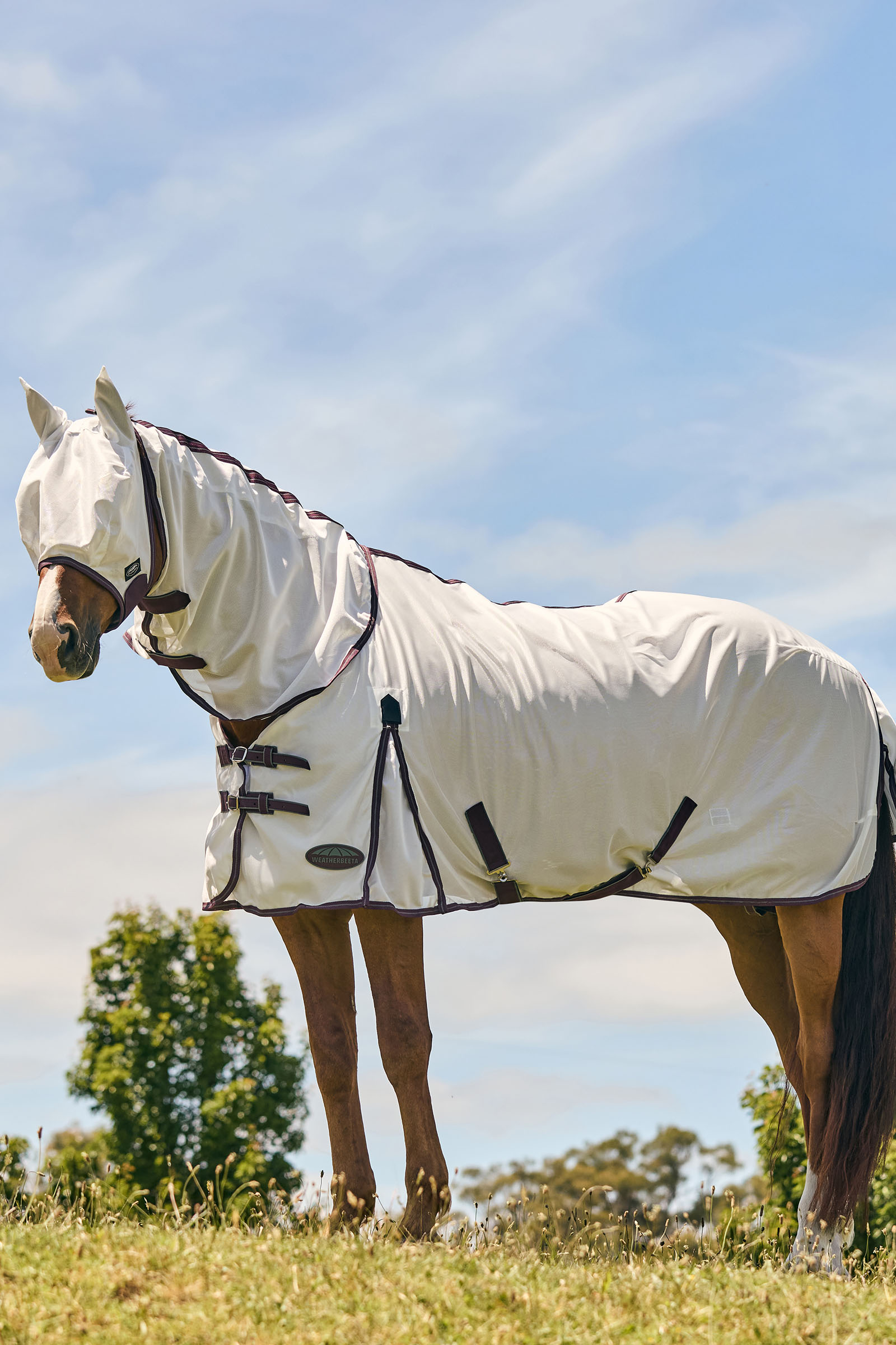 Weatherbeeta Comfitec Essential fluemaske i netting