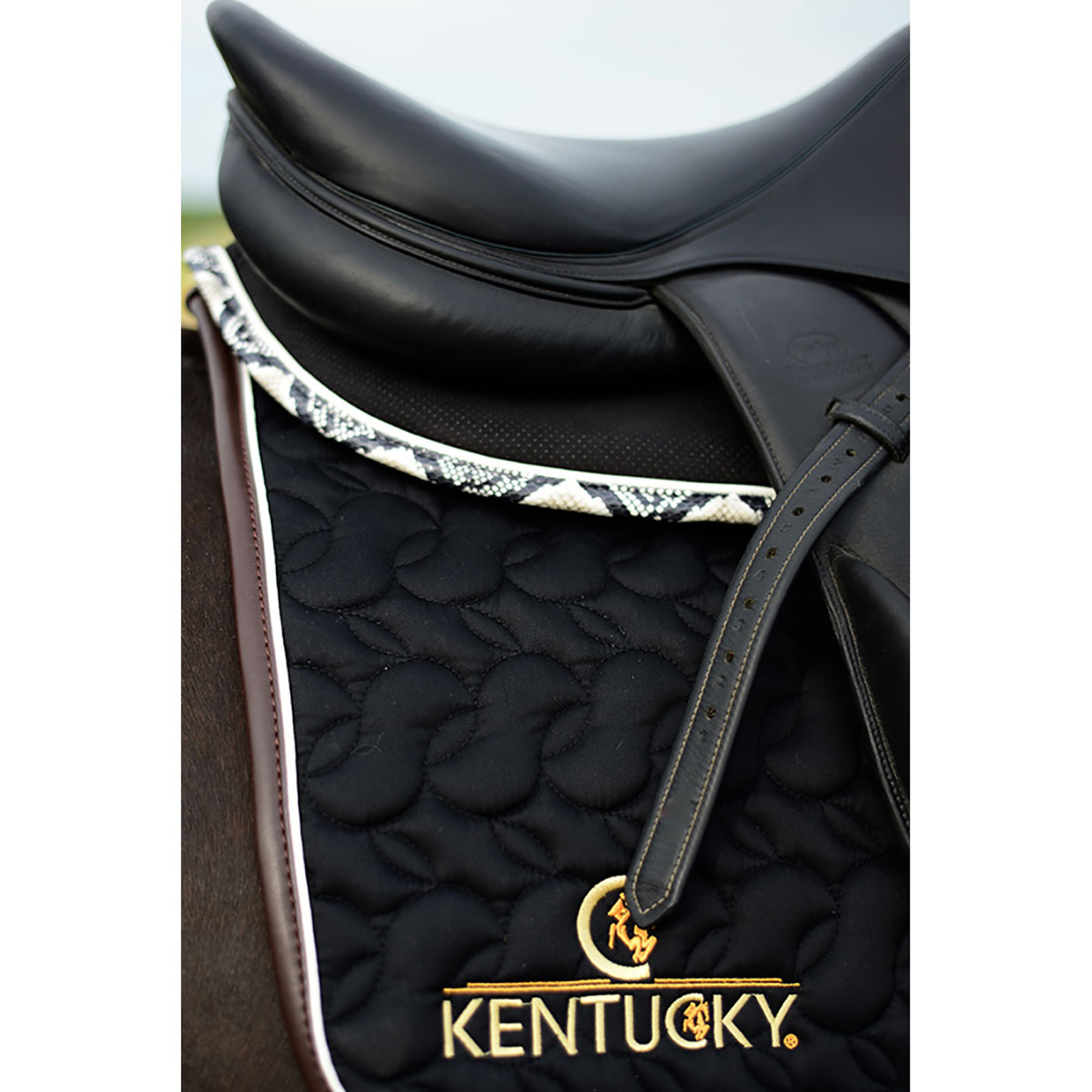 Kentucky Horsewear Absorb sjabrak