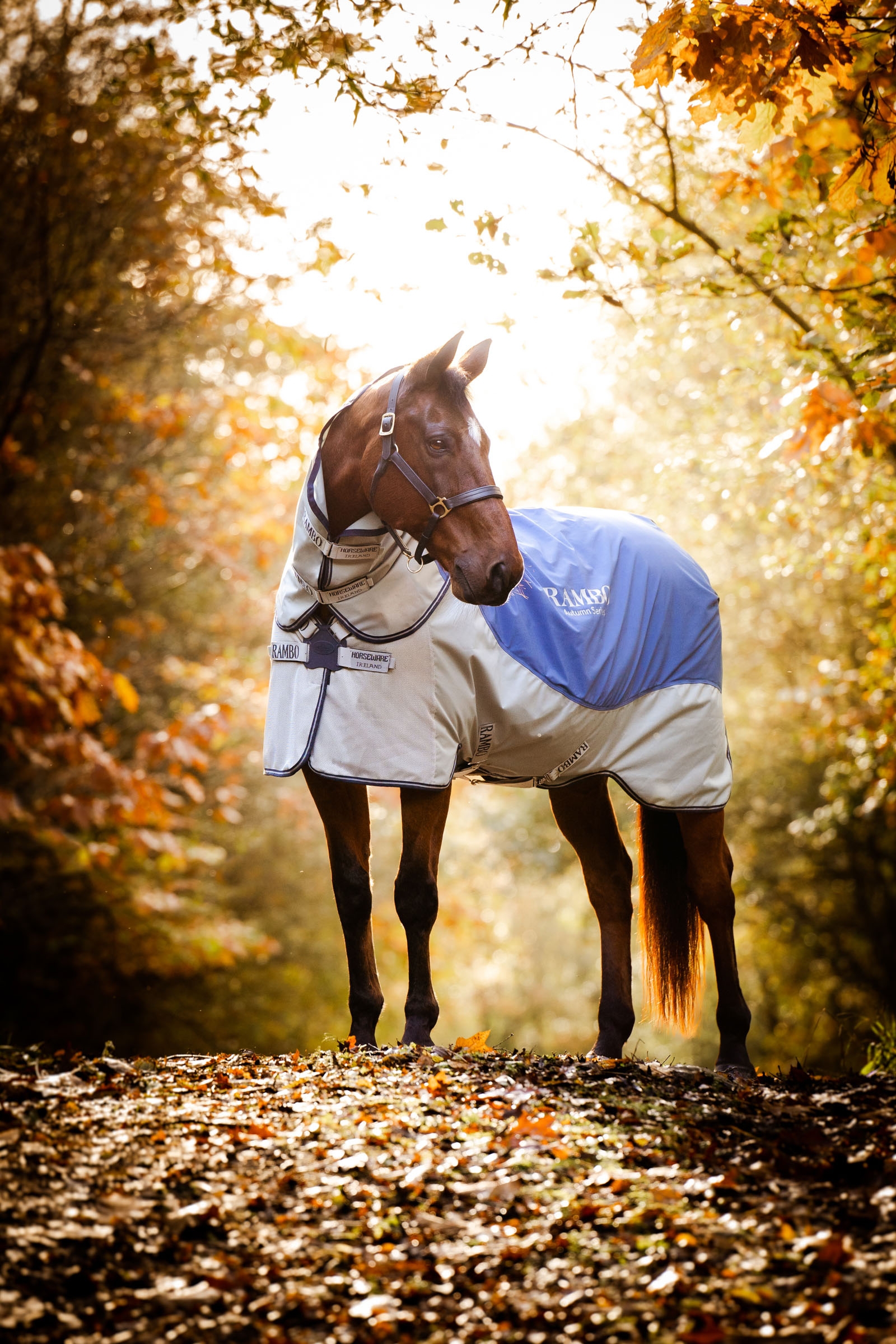 Horseware Rambo Autumn Series utedekken med underdekken (0 g / 100 g)