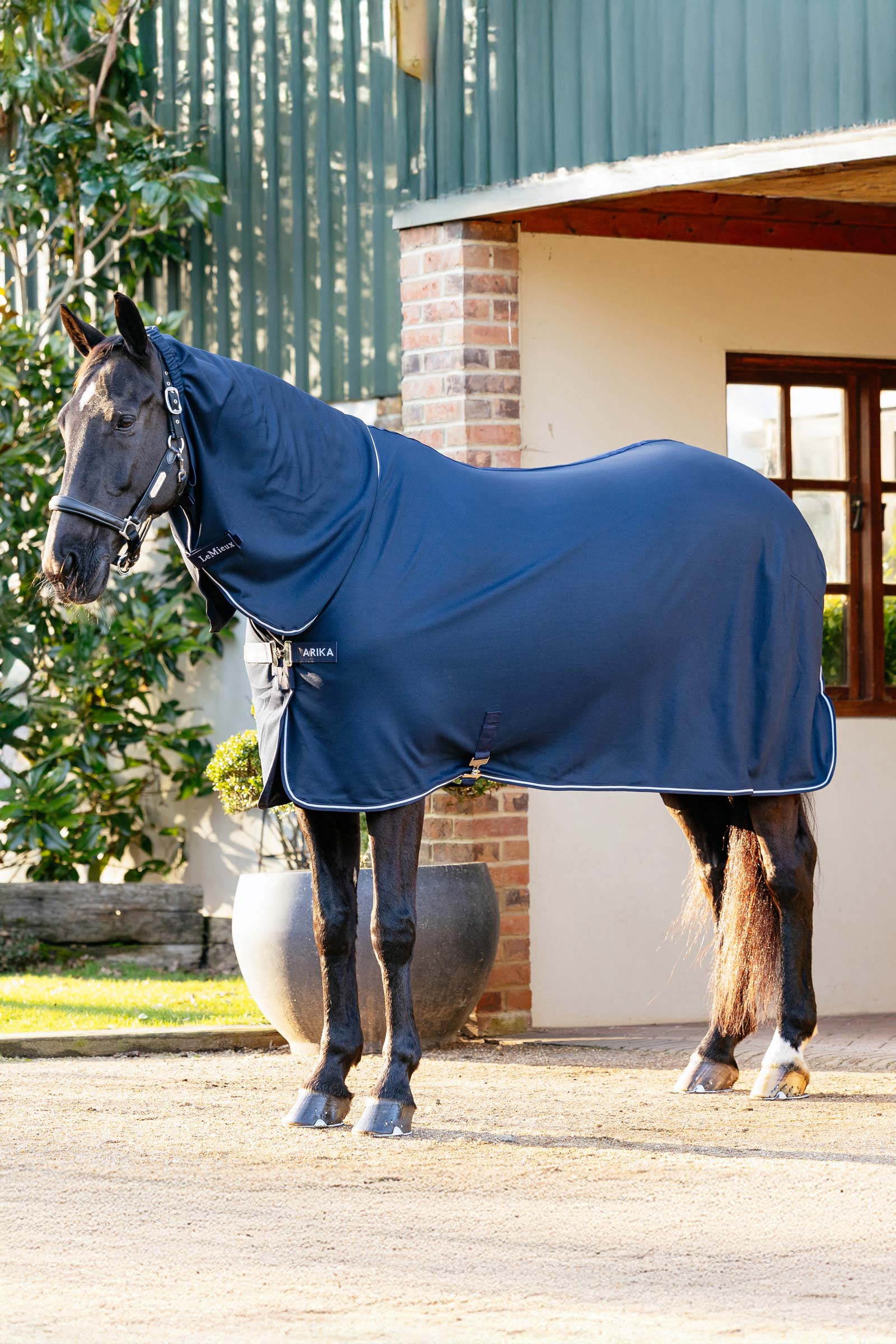 LeMieux Arika DryEase-teppet