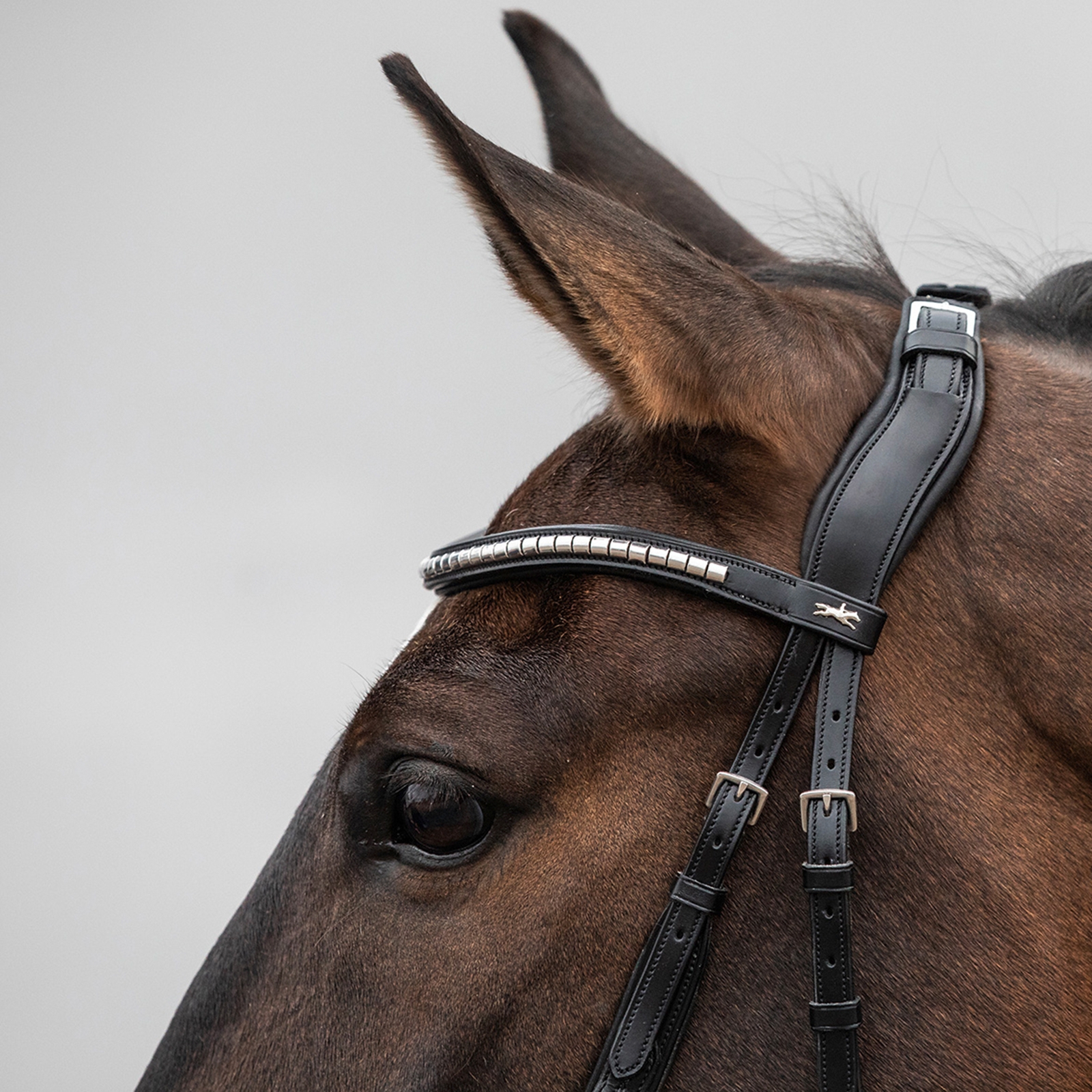 Schockemöhle Sports Equitus Rho nakkestykke