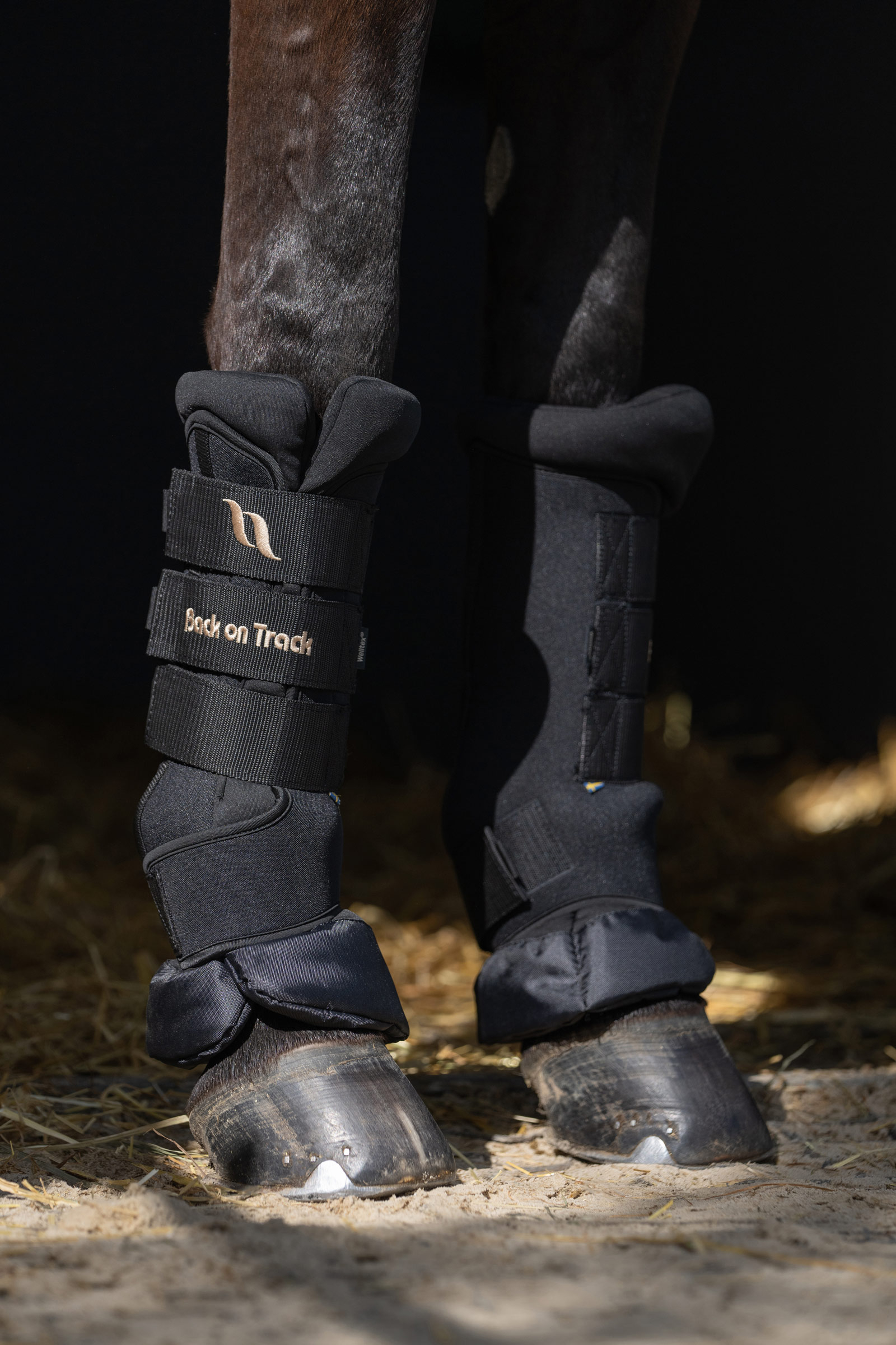 Back On Track Quick Royal stallbandasjer