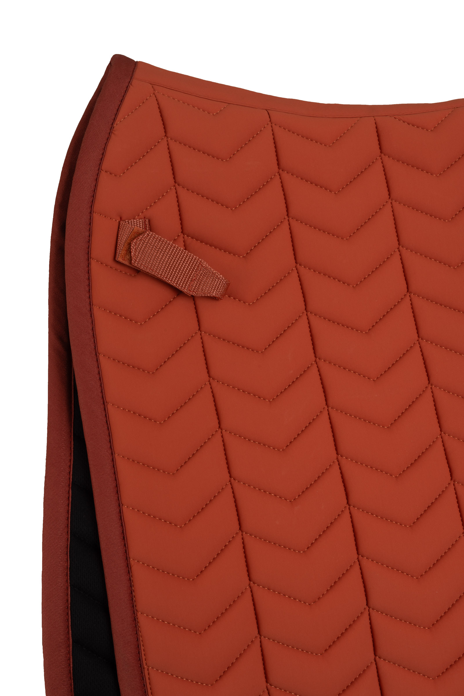 B Vertigo Empowerment dressursjabrak