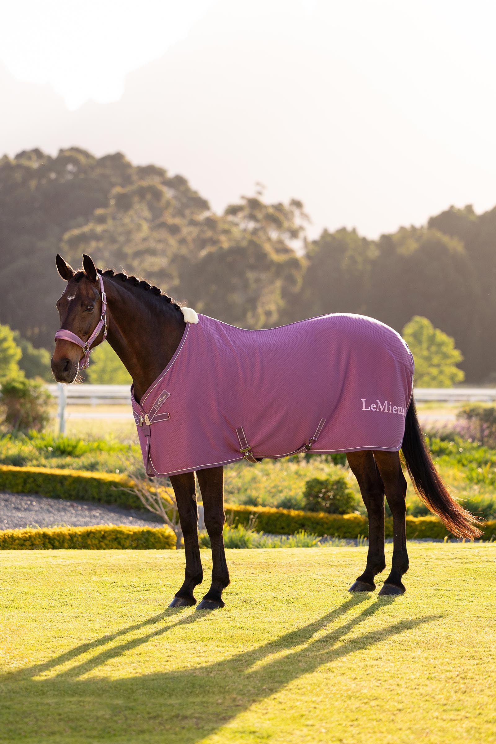 Mallow LeMieux Kudos bambus cooler dekken