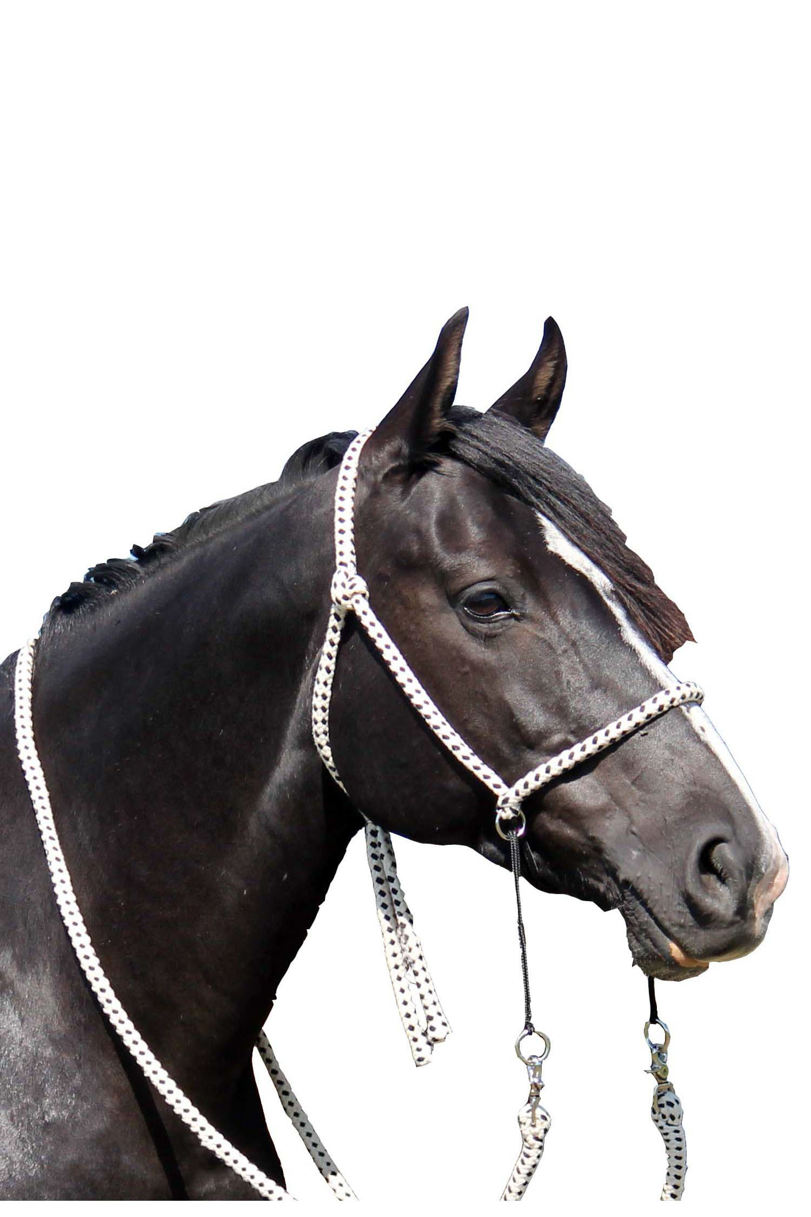 F.R.A. Freedom Riding Articles Nanouk bitless bridle (system 4) bomull med klipstøyler