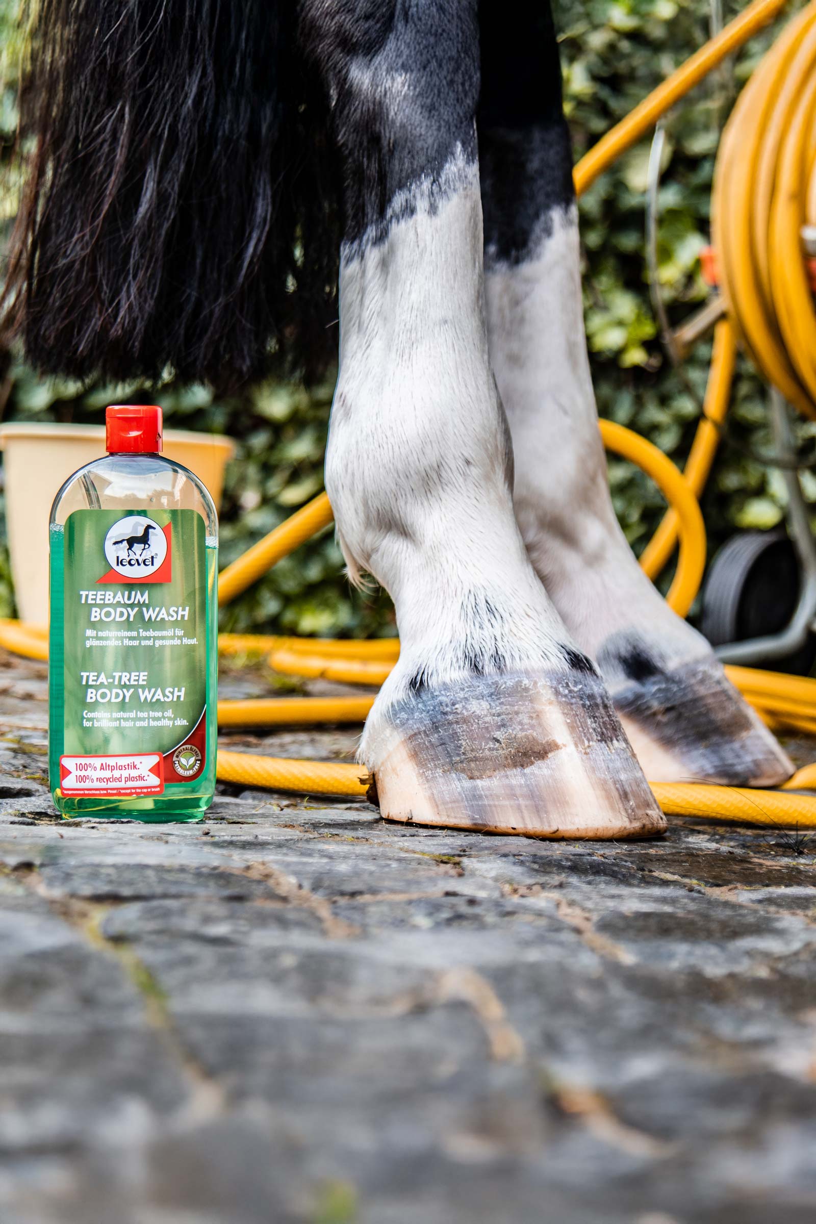 Leovet Tea-Tree kroppsvask