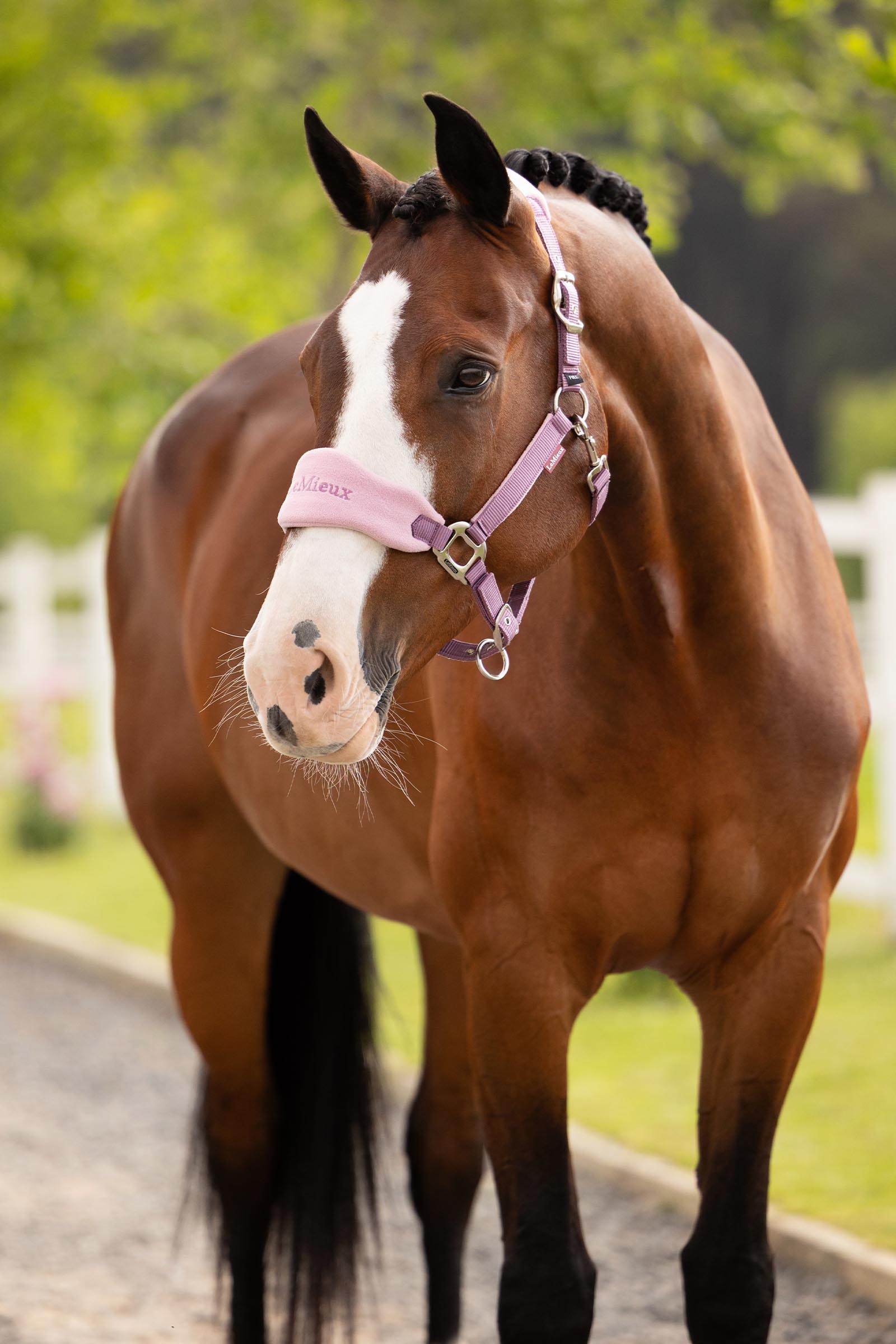 LeMieux Vogue grime og leietau sett