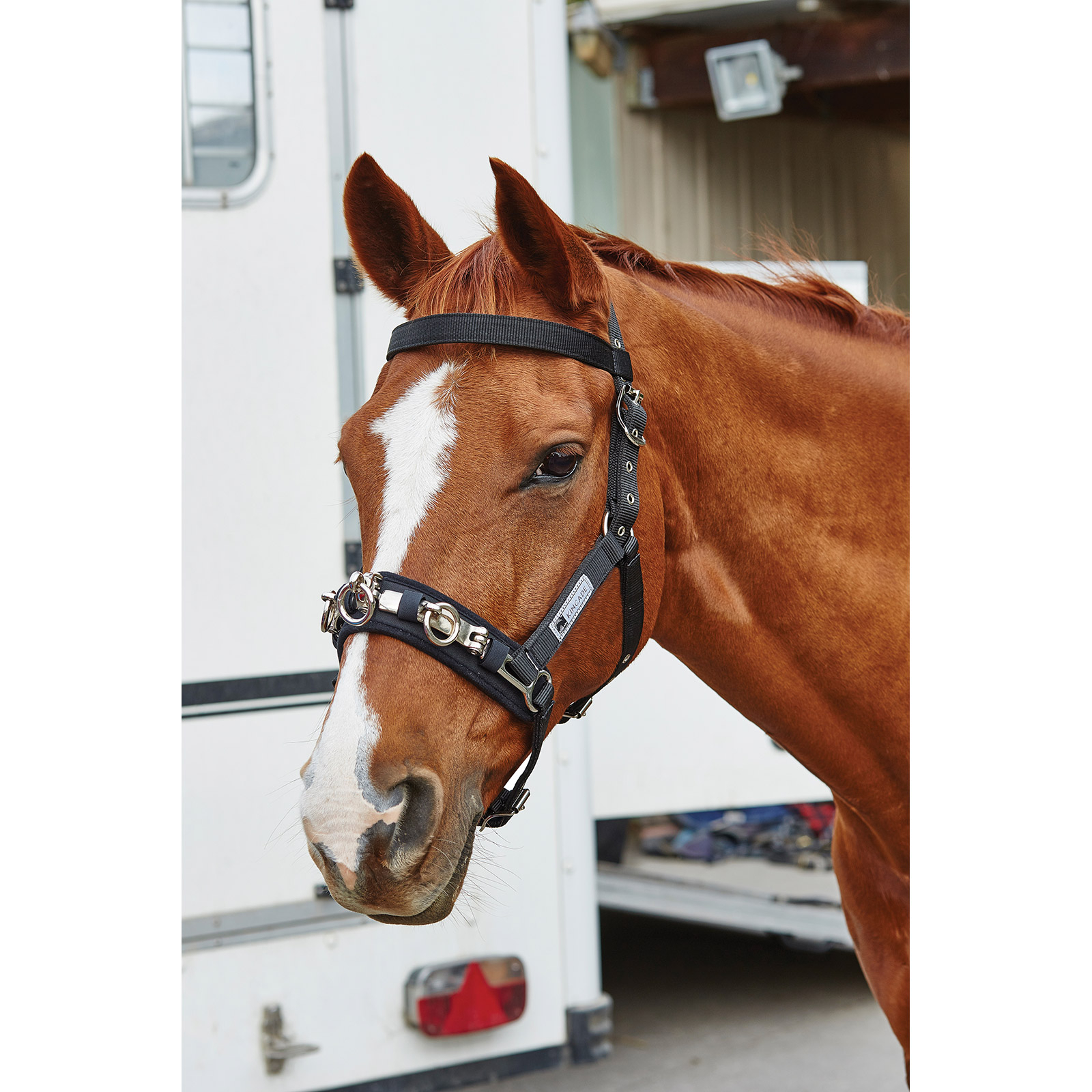 Kincade Cooridnate longeringskapsun