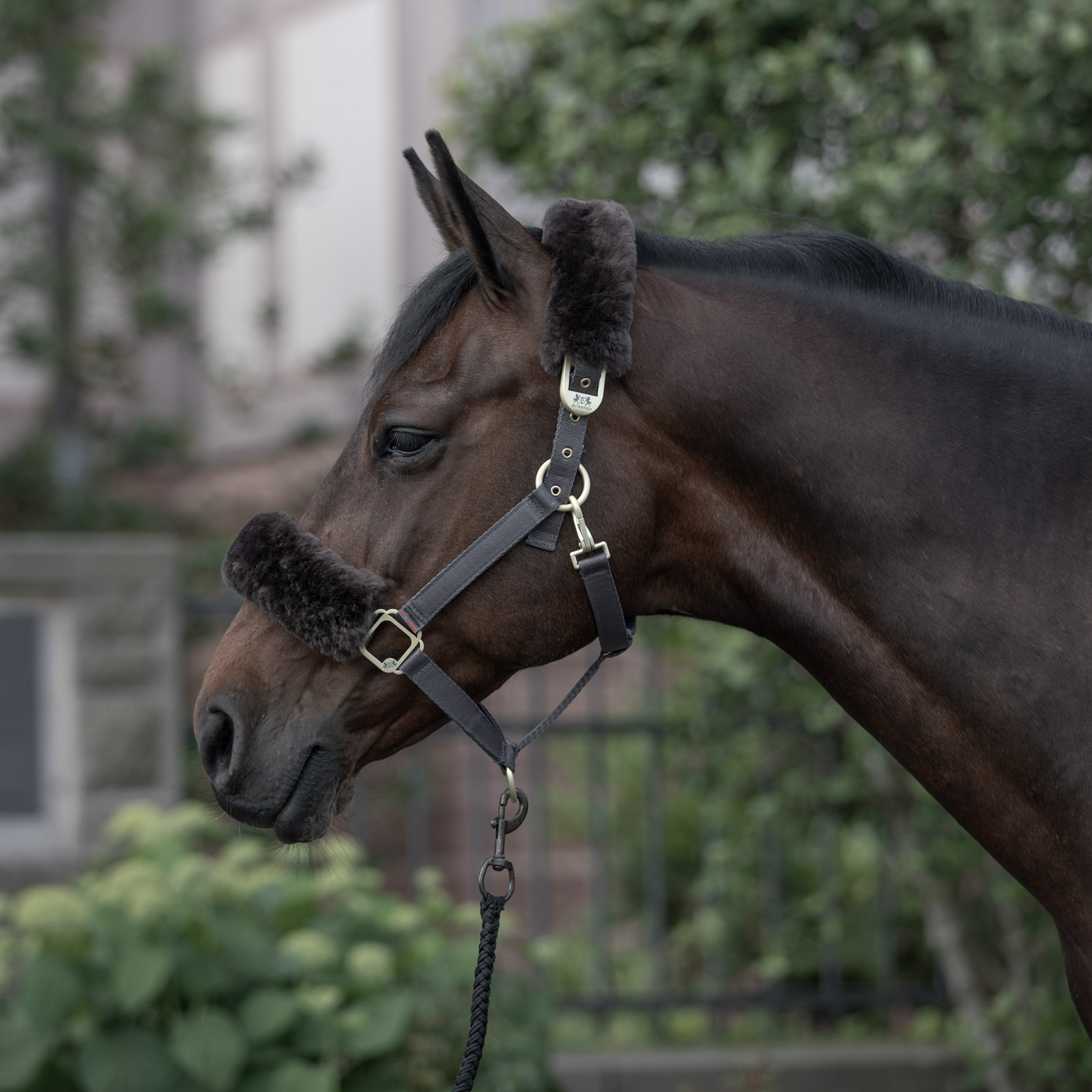 B Vertigo Laurier grime med saueskinn