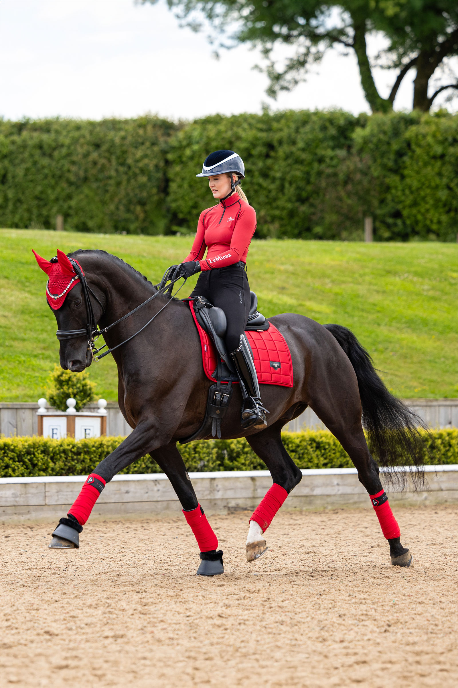 LeMieux Loire klassisk firkantet dressur salunderlag