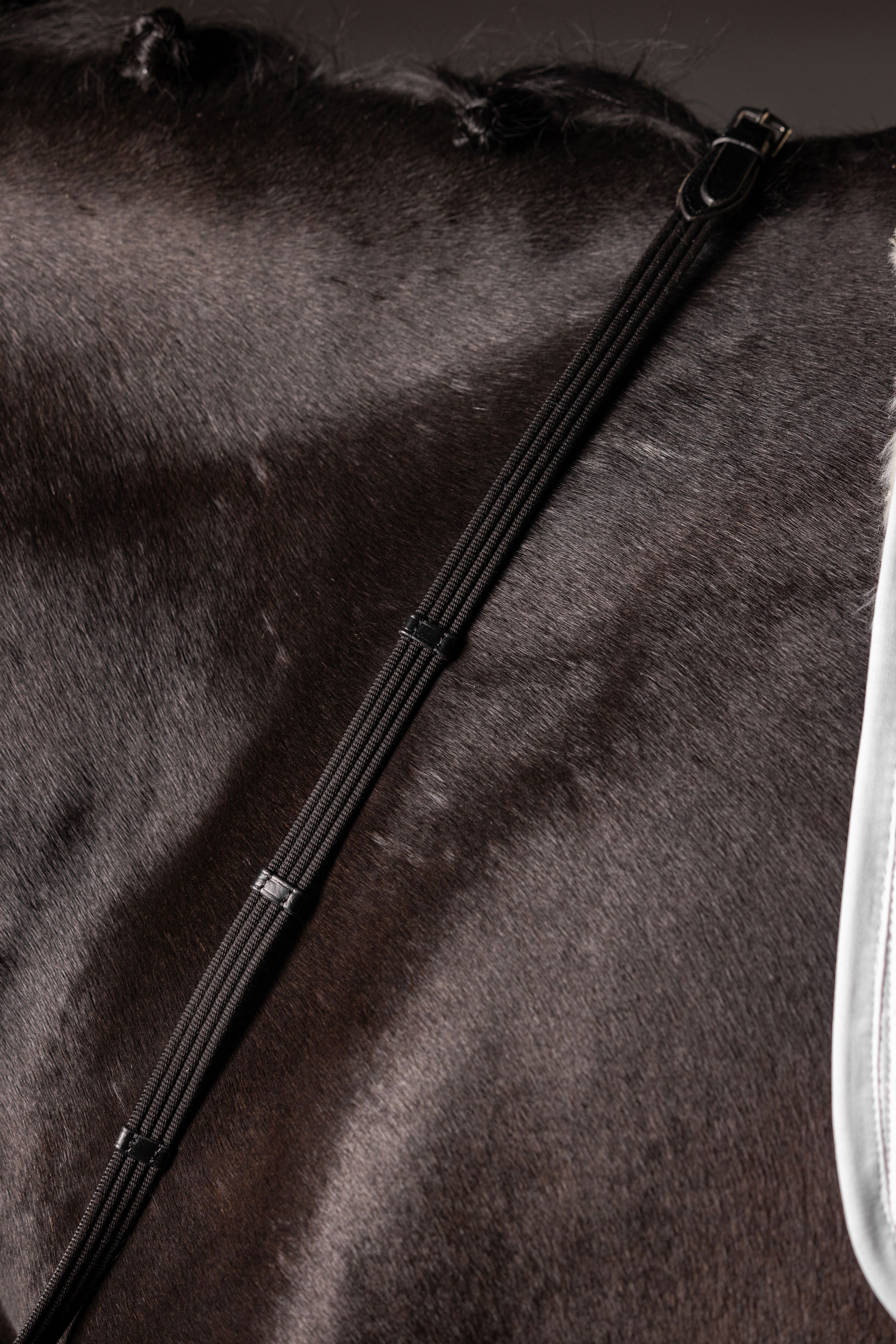 LeMieux Continental webbt&oslash;yler