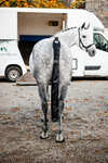 Horseware Halebeskytter med pose