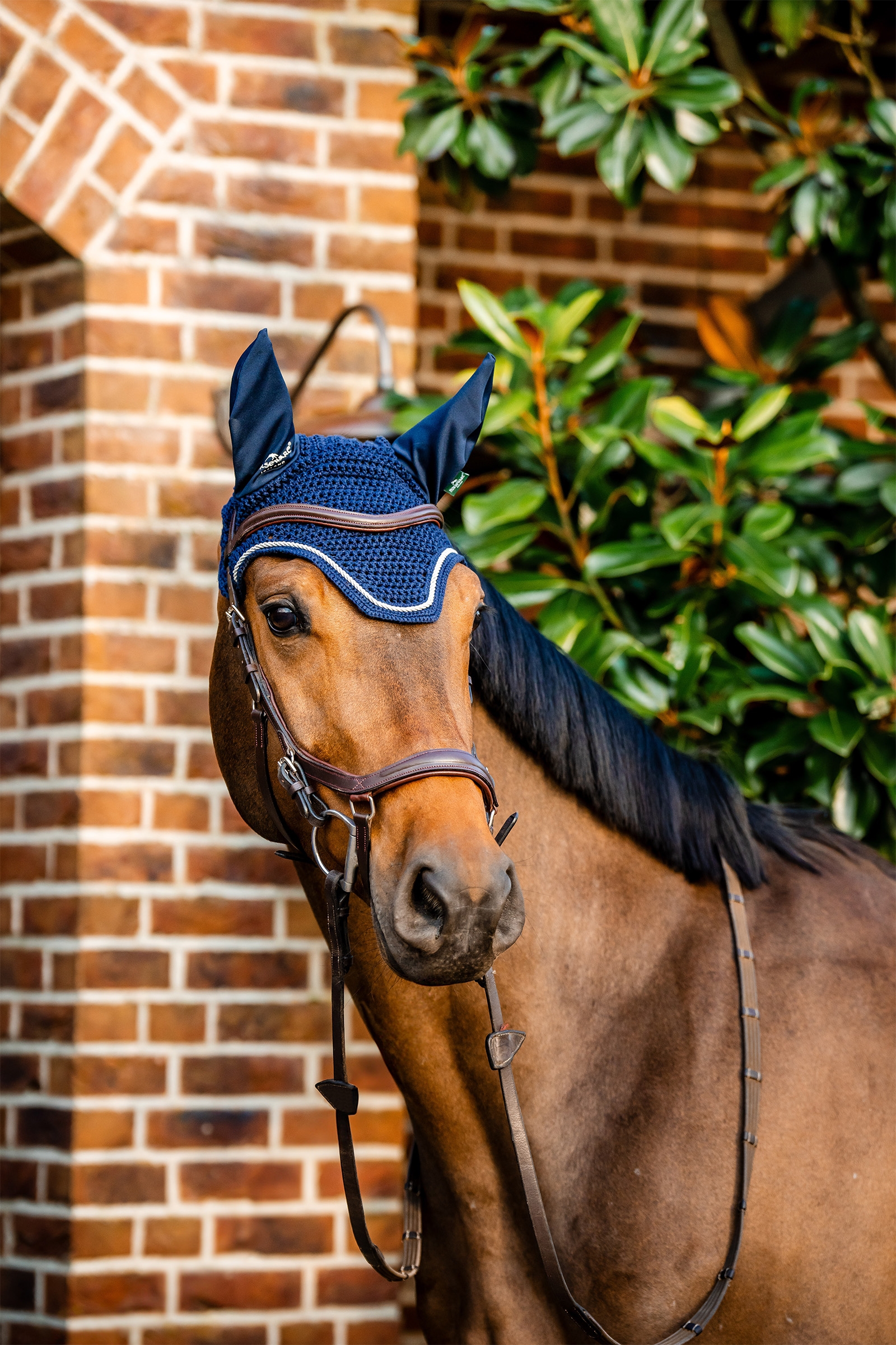 Horseware Signature fluehette