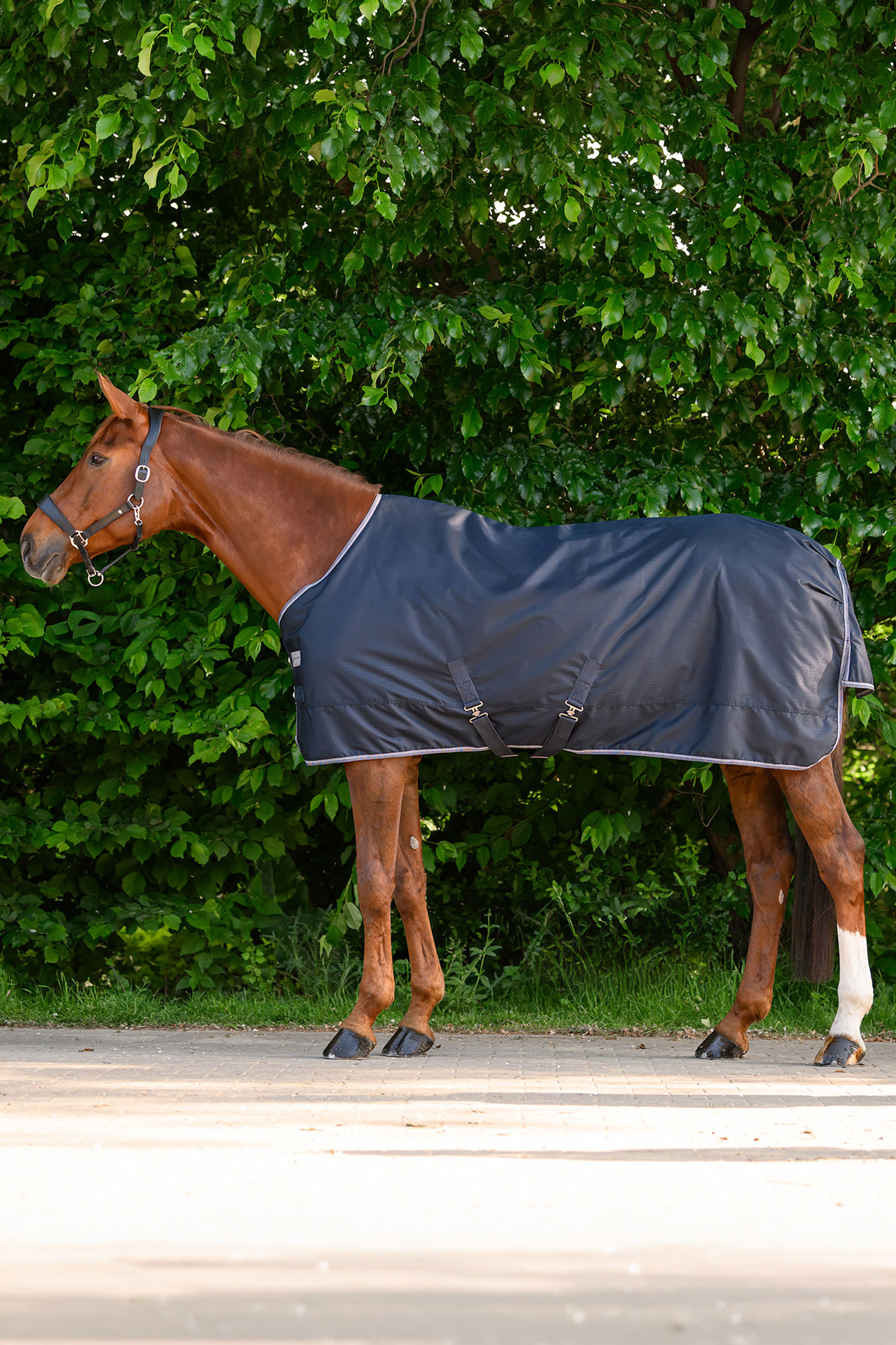 Waldhausen ECONOMIC utedekken, 100g