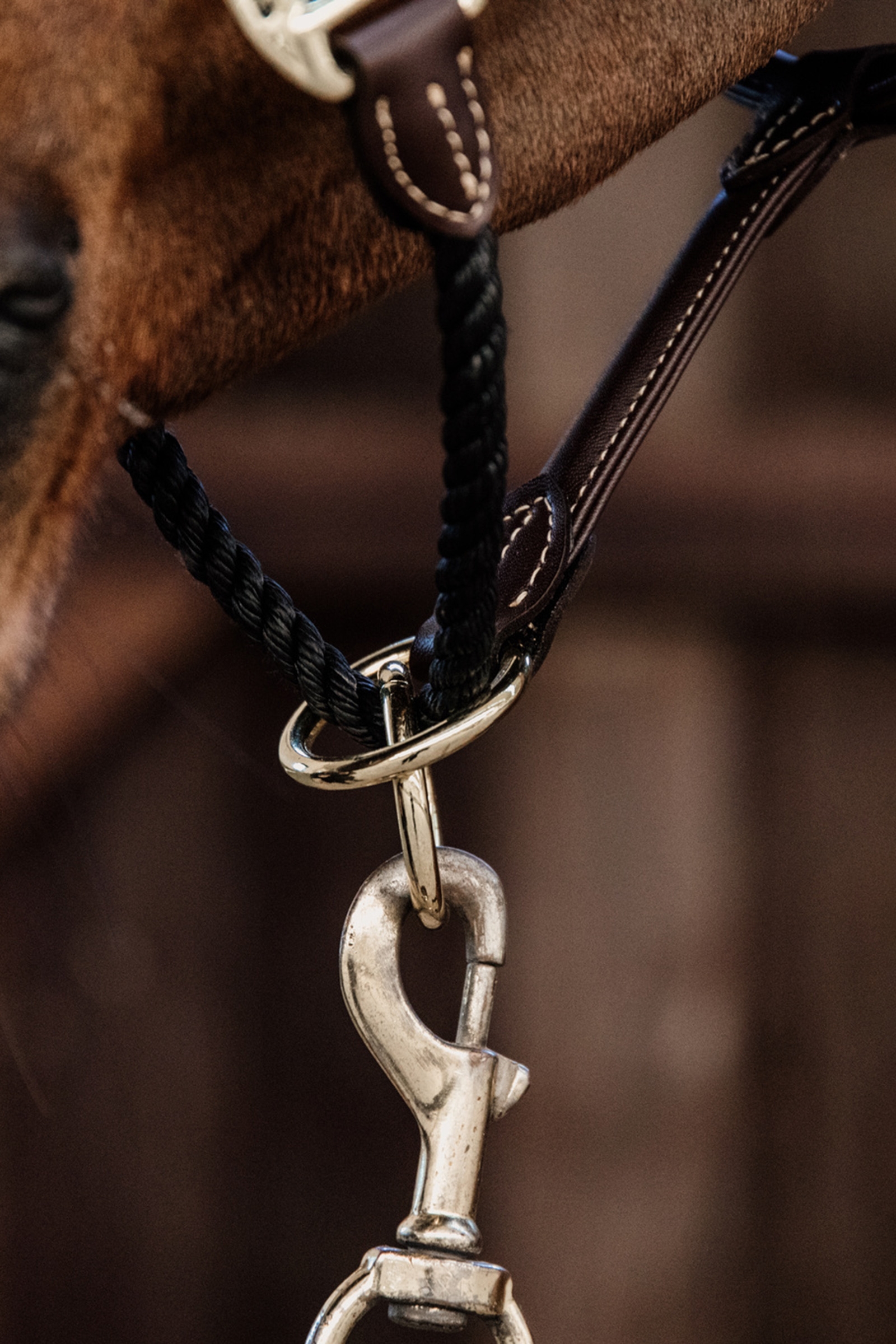 Kentucky Horsewear leather rope grime