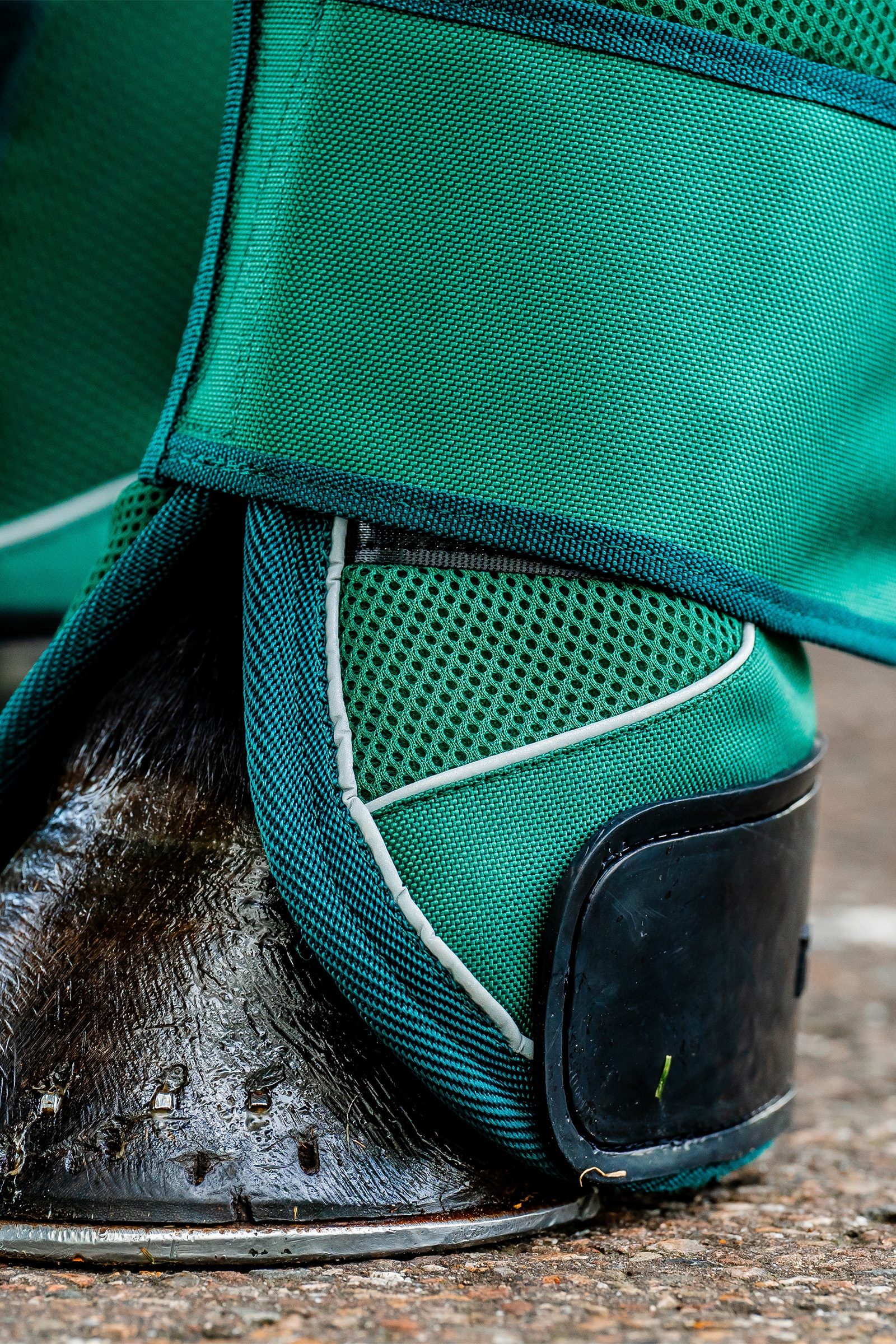 Horseware Signature Transport Beinskyttere