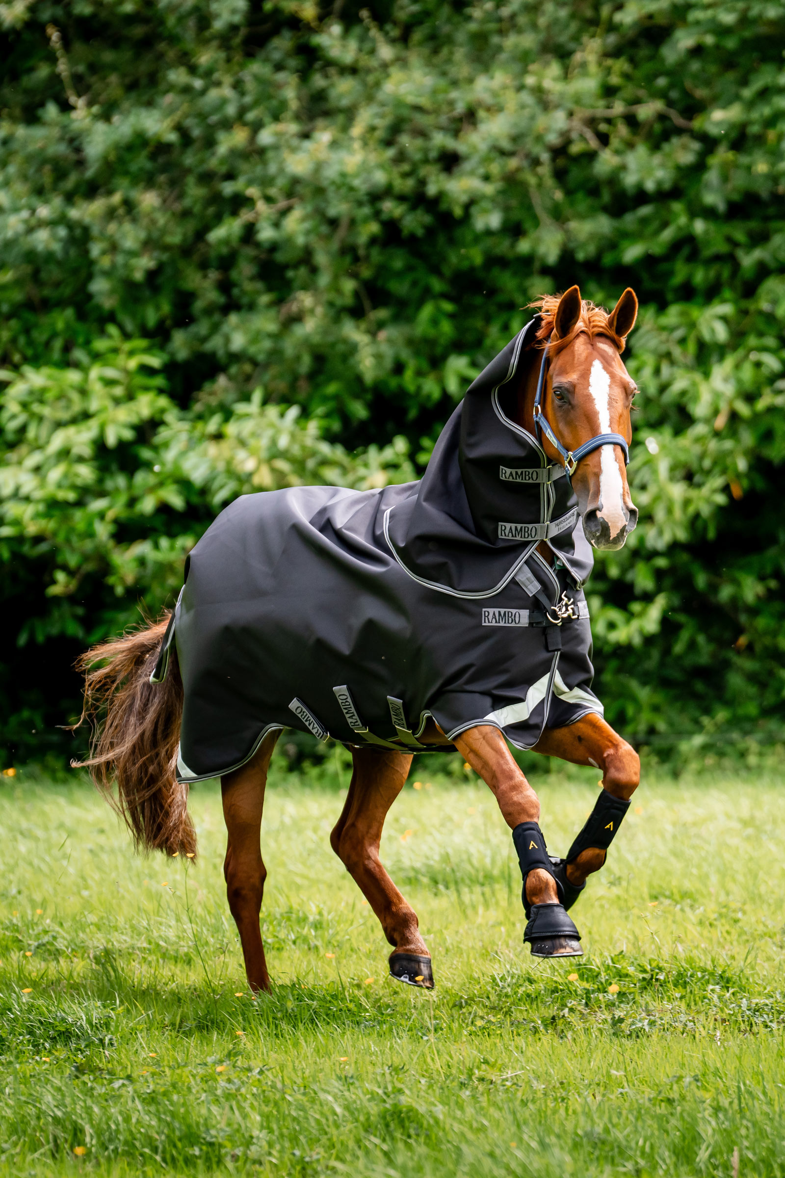 Horseware Rambo 1680D Plus utedekken, 100 g