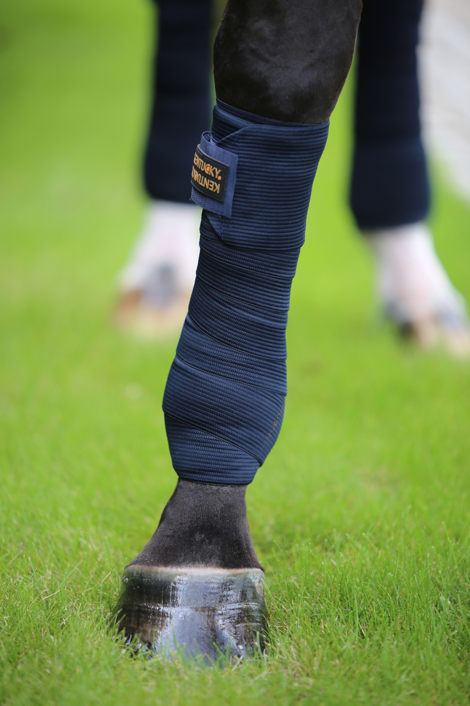 Kentucky Horsewear elastisk bandasje