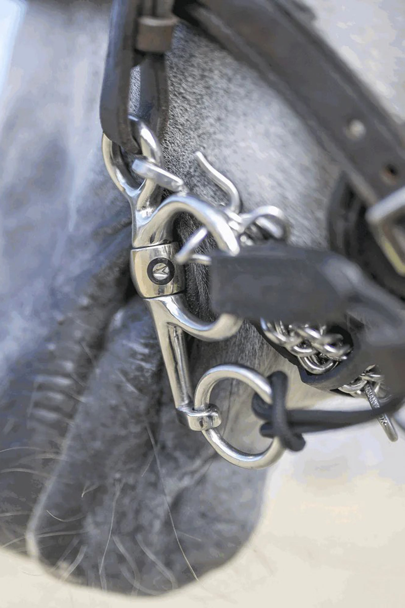 Sprenger Dynamic RS Pelham, Sensogan, dobbelt brutt, 16 m