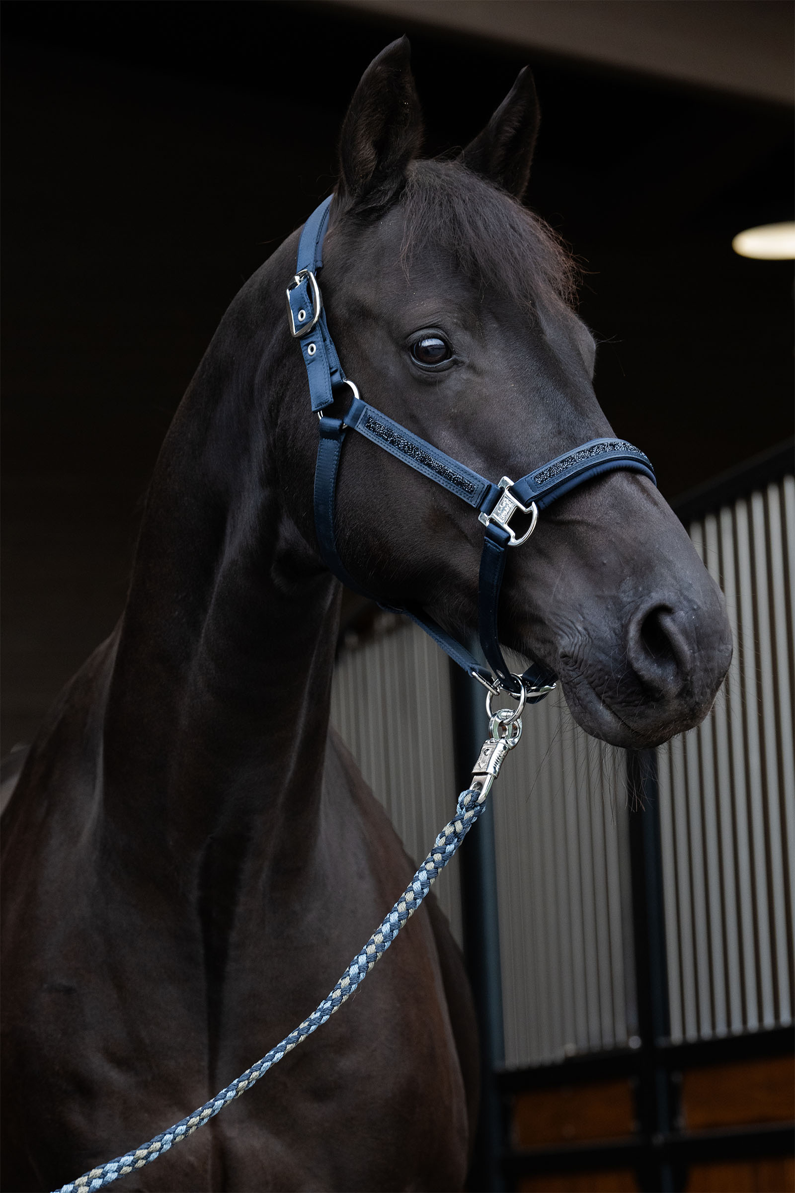 Eskadron Classic Sports SS25 Mattgloss Jewel Double Pin grime