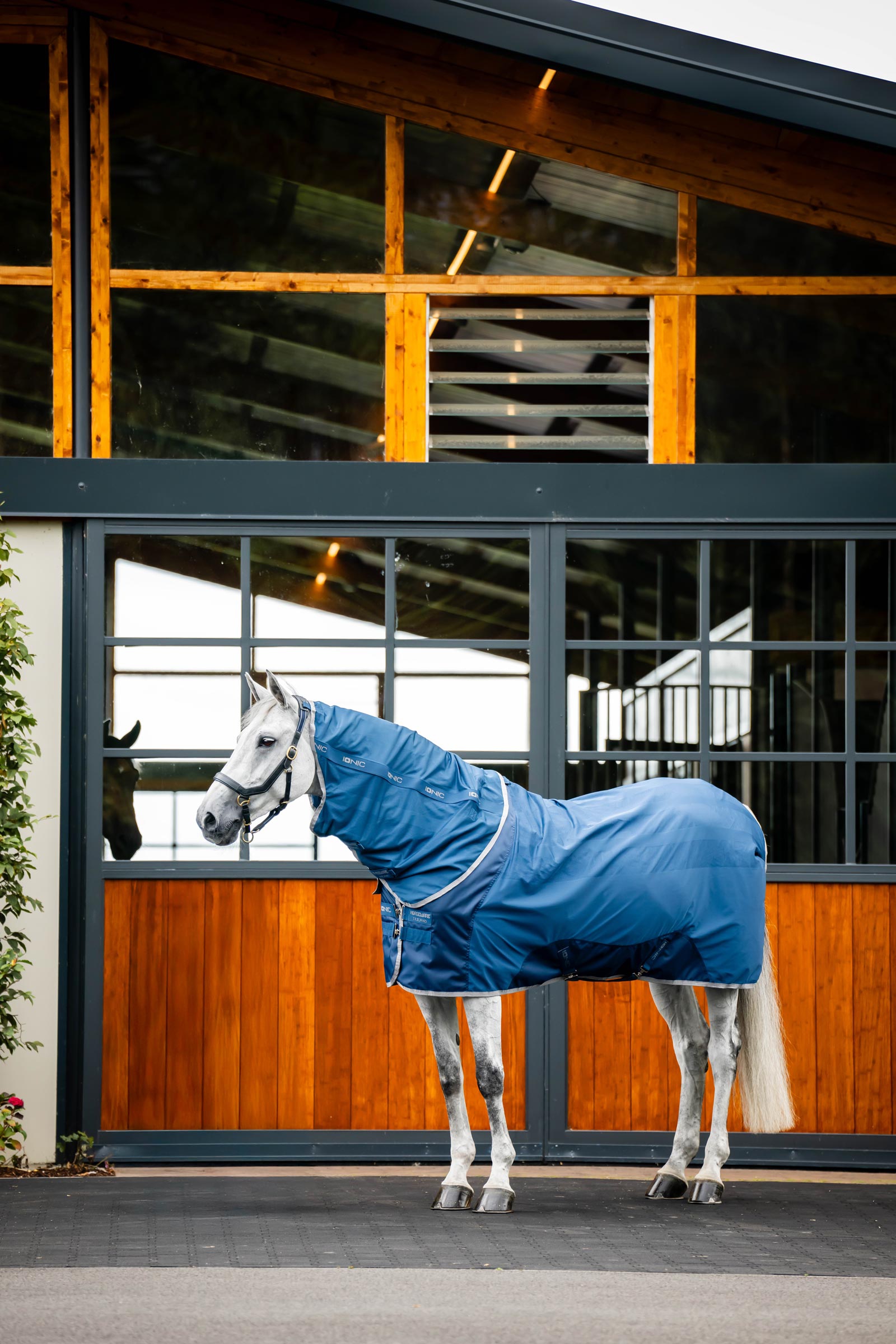 Horseware Ionic Therapy Mesh Cooler-dekken