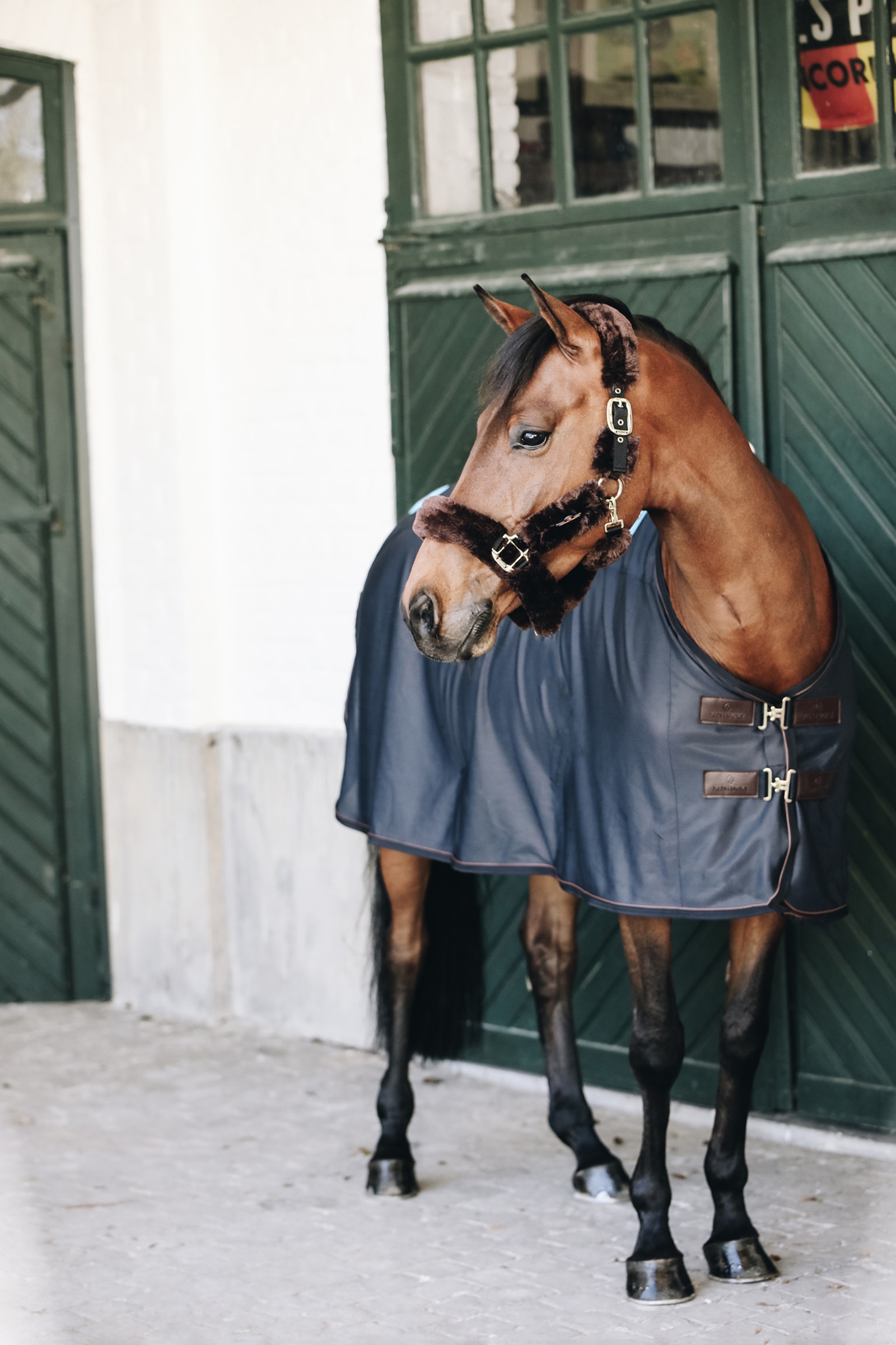 Kentucky Horsewear Recuptex magnetisk dekken