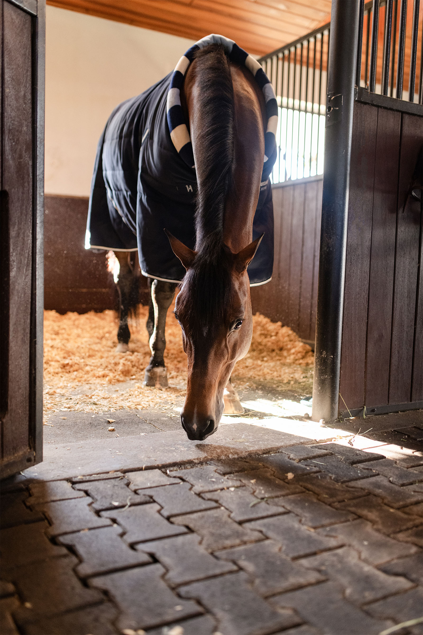 Horseware Newmarket Cosy Stalldekken 100g