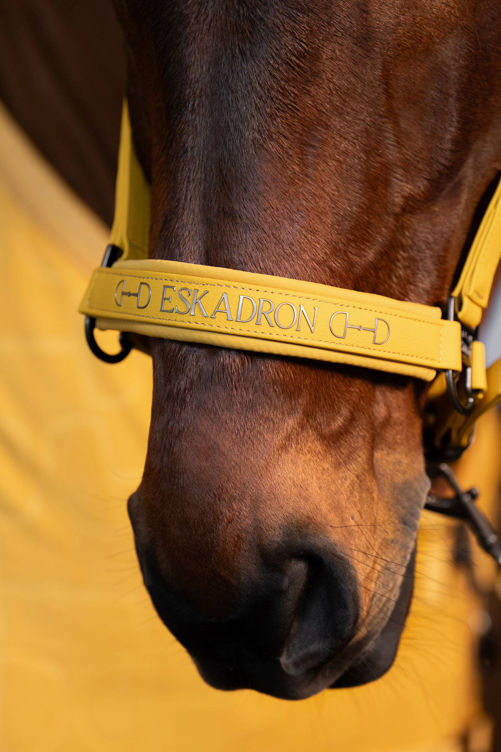 Eskadron Platinum 25 Dobbelt pin grime i kunstskinn