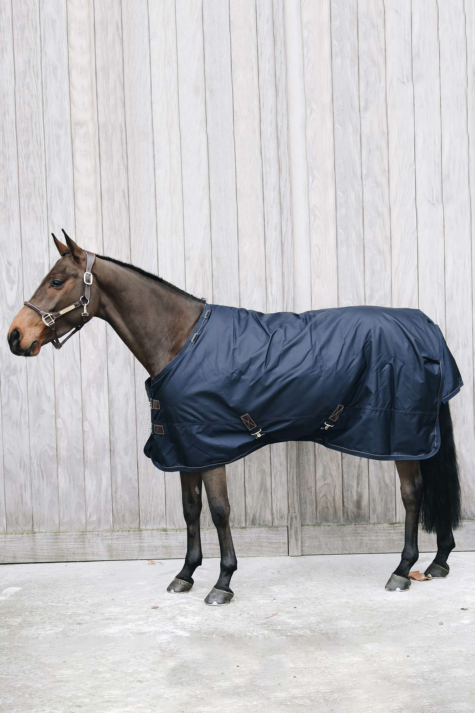 Kentucky Horsewear All Weather Waterproof Pro utedekken, 0 gram