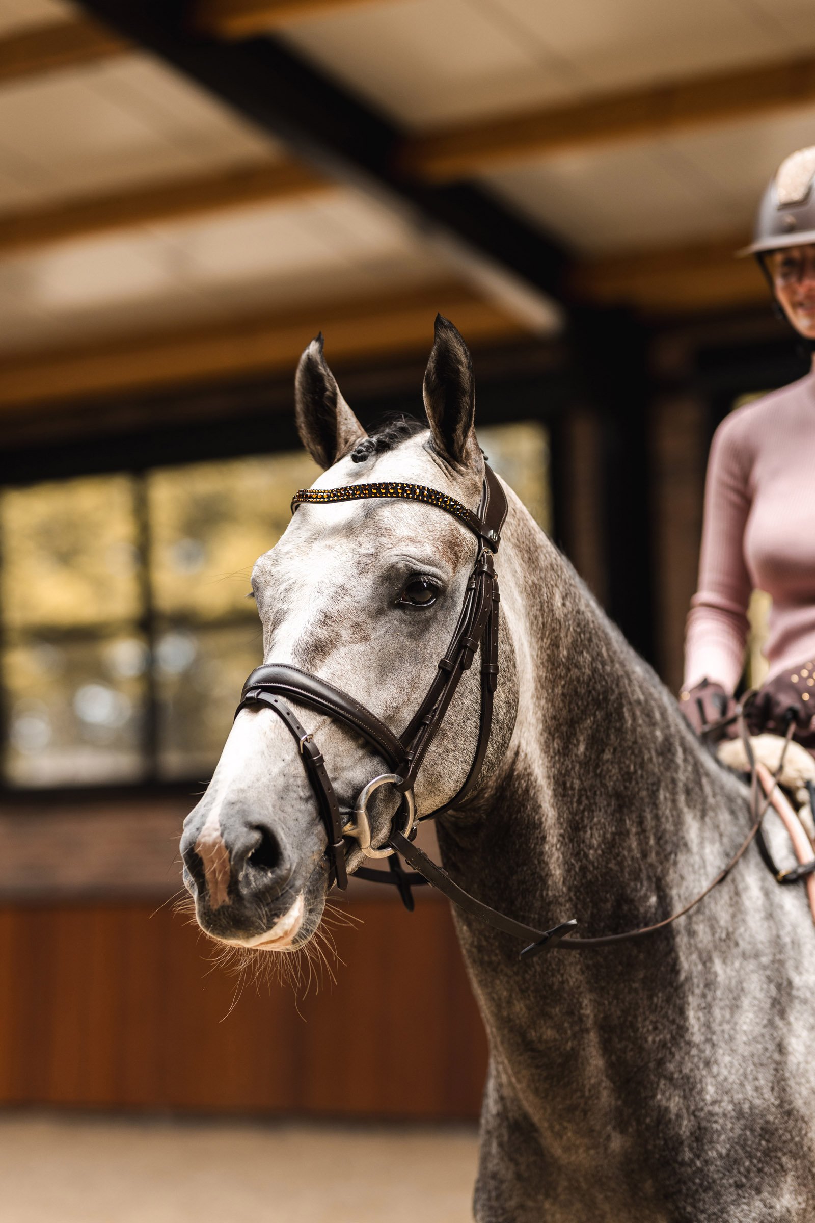 Horze St. Moritz pannereim