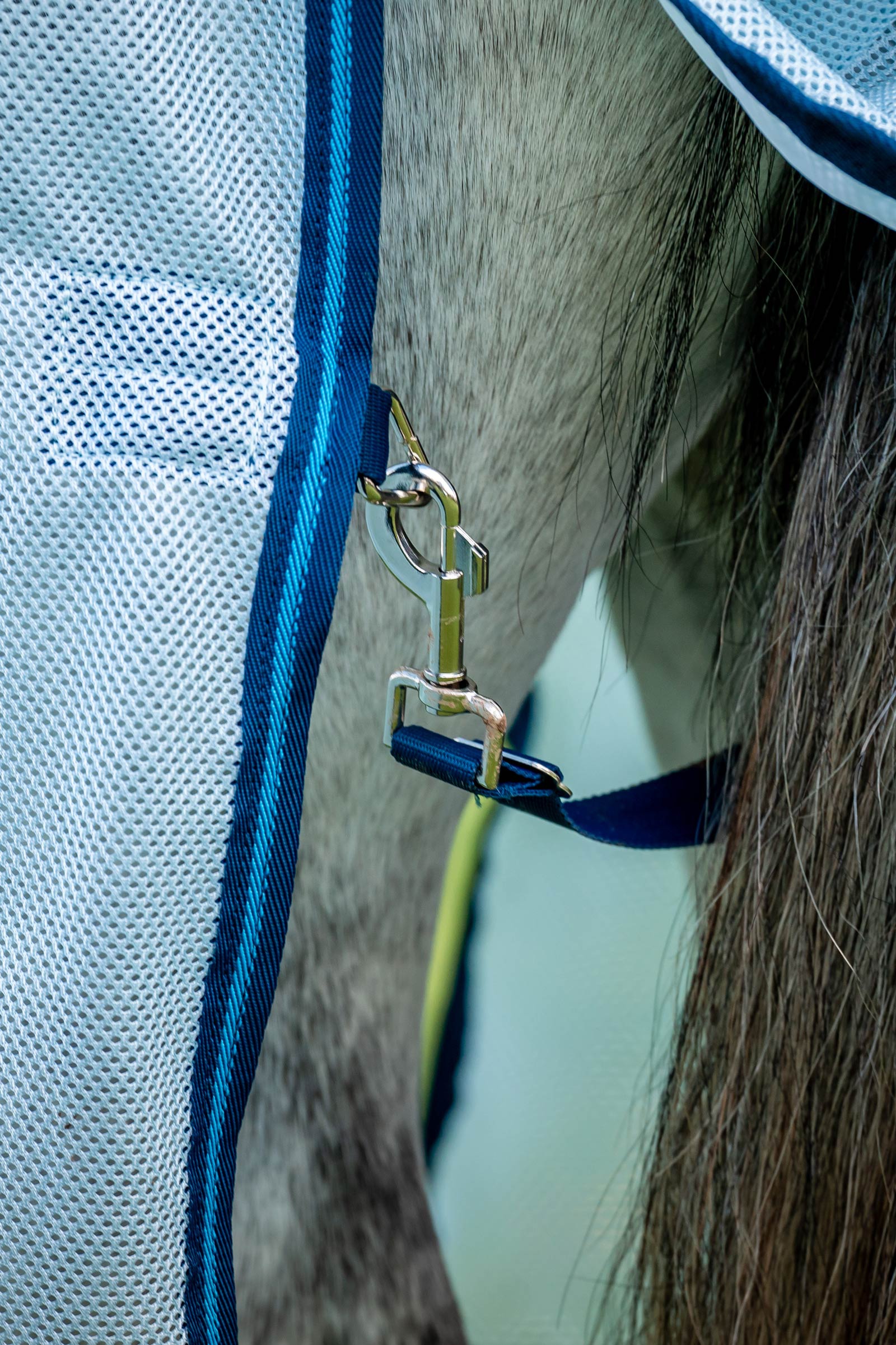 Horseware Amigo Bug Buster fluedekken med avtakbar halsdel