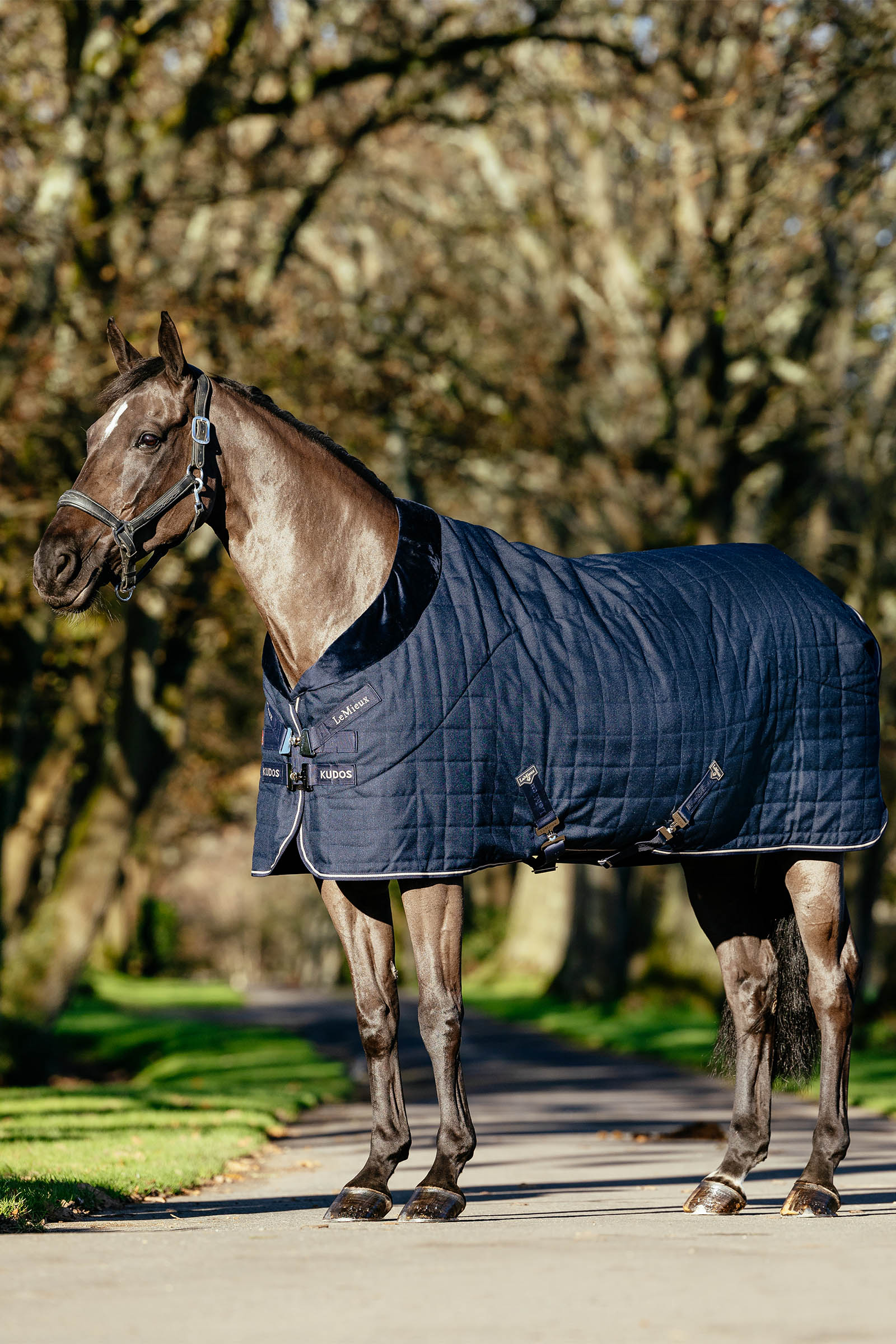 LeMieux Kudos Luxe foret stalldekken, 100 g