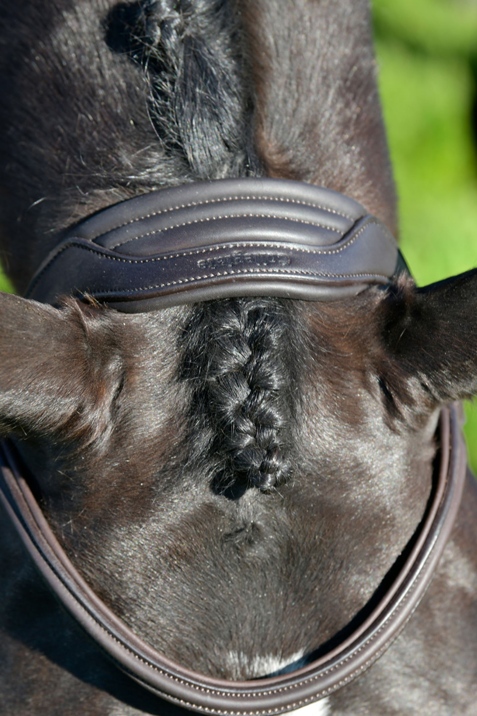 Collegiate Comfitec Opulux enkel, polstret hodelag med mexikansk nesereim