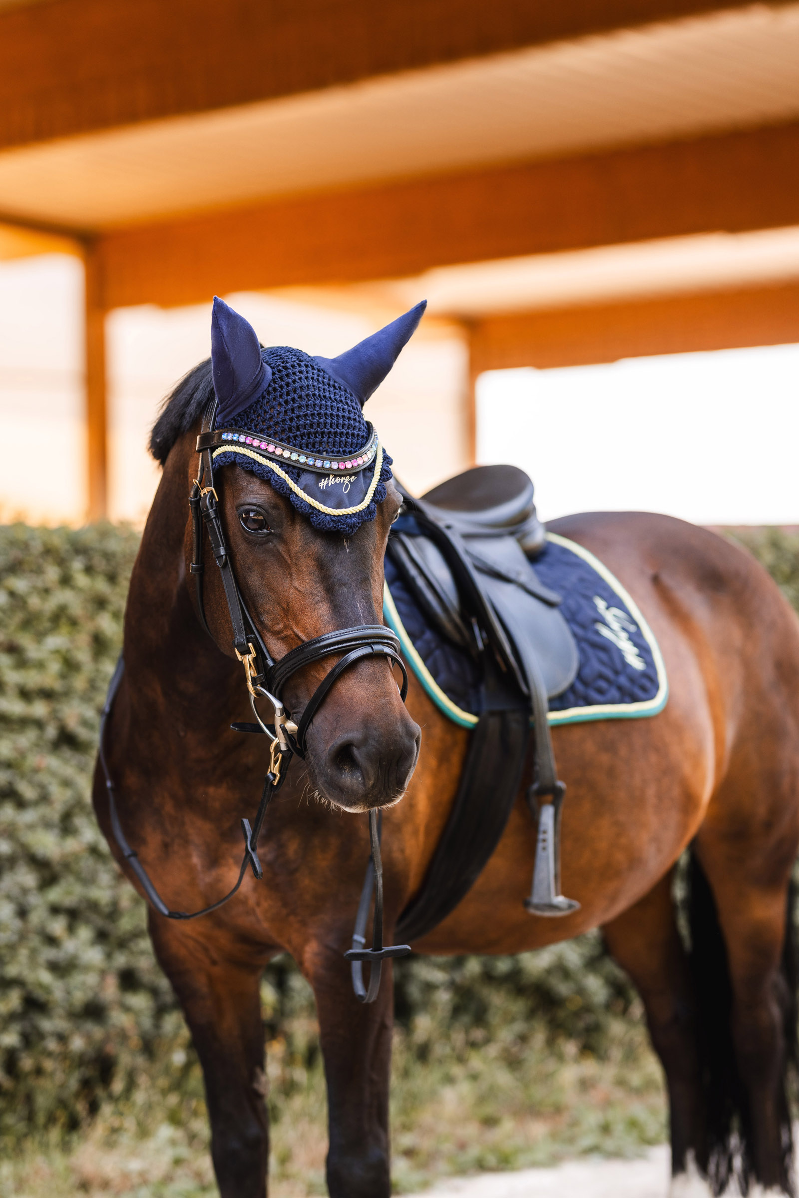 Horze Magic Carousel Part 2 ørehette