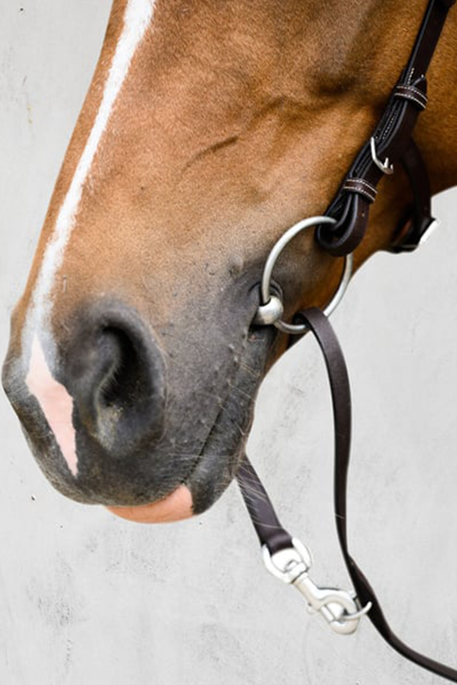 PS of Sweden Helsinki hodelag