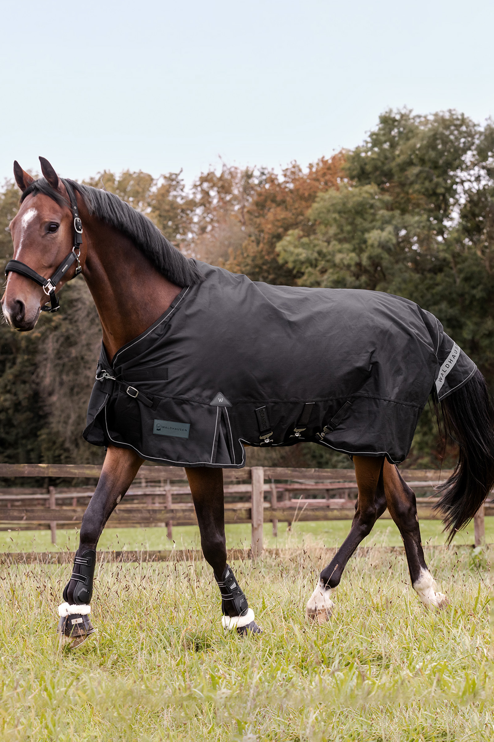 Waldhausen utend&oslash;rsdekken Scandic 50g