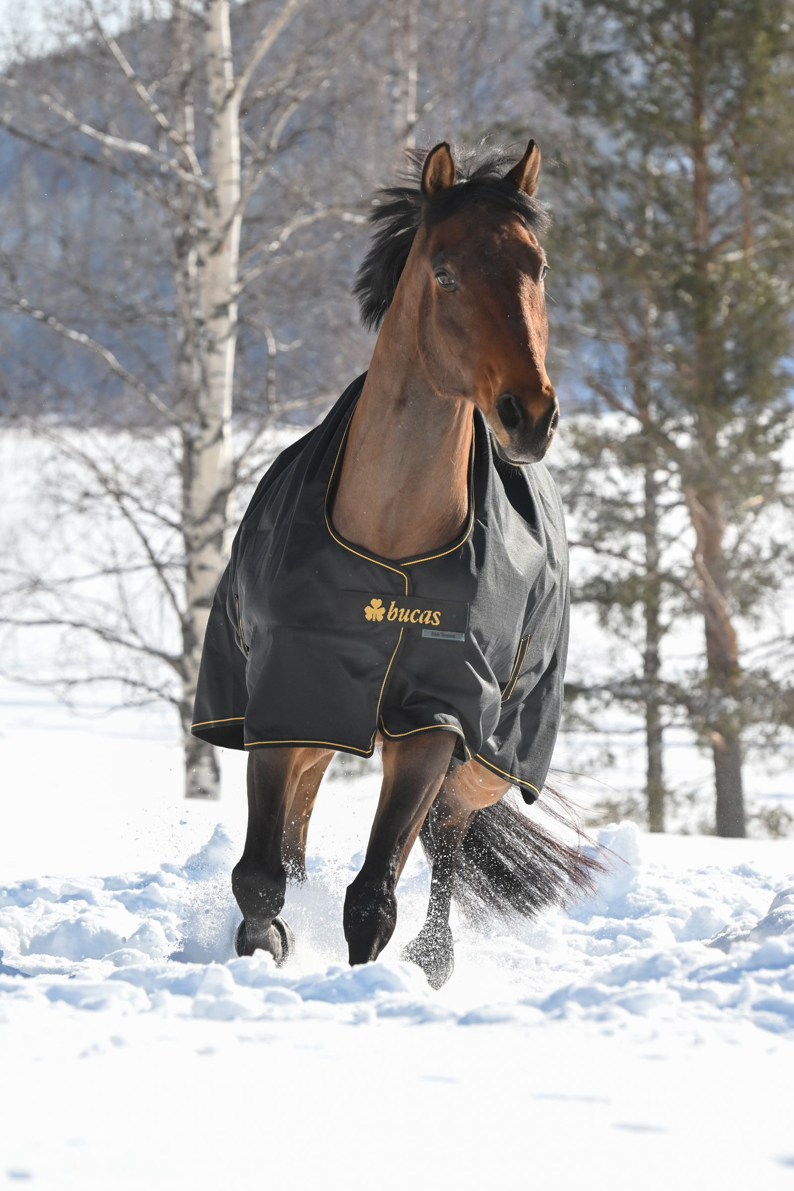 Bucas Irish utedekken, 300g