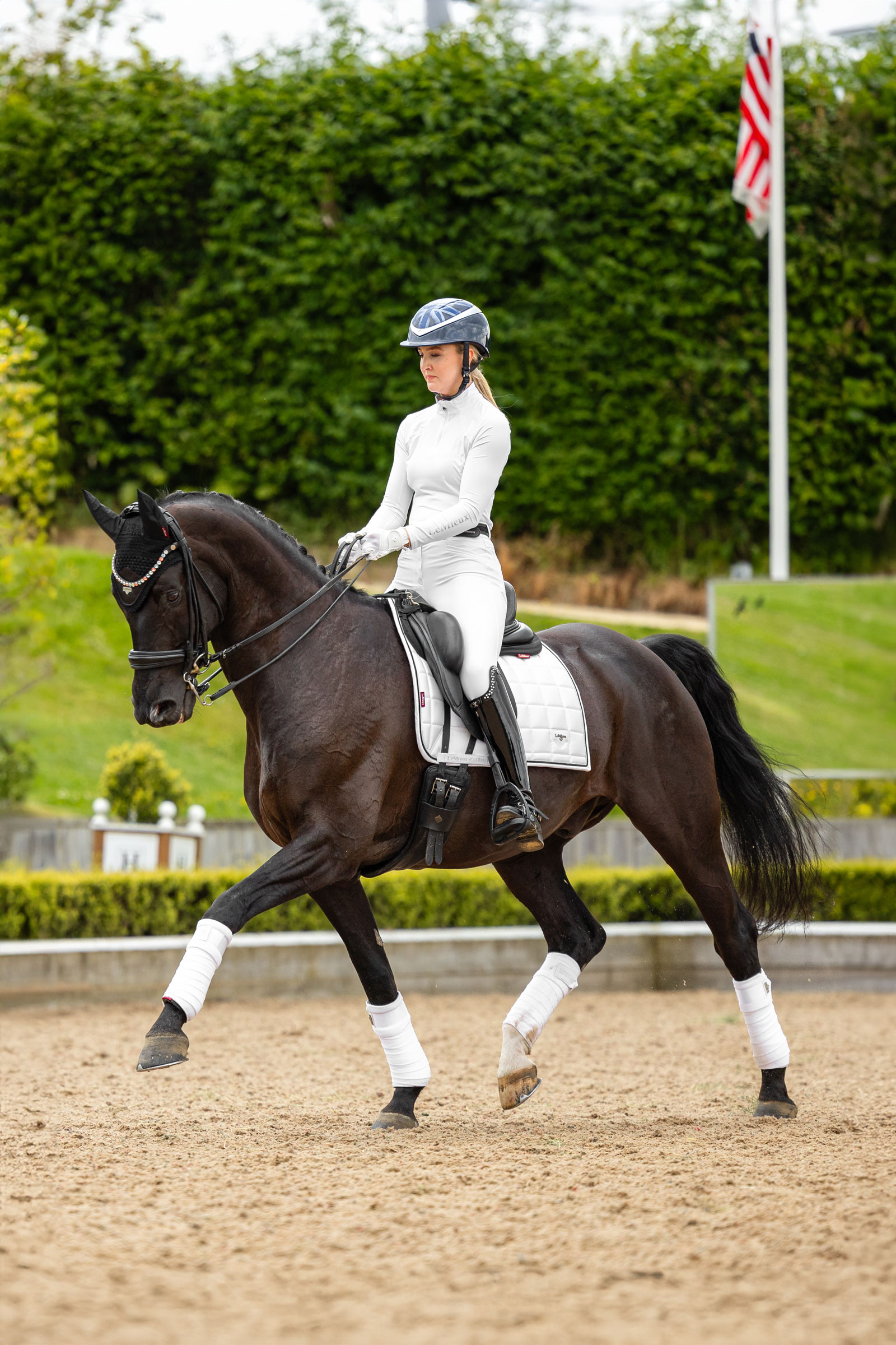 LeMieux Loire klassisk firkantet dressur salunderlag